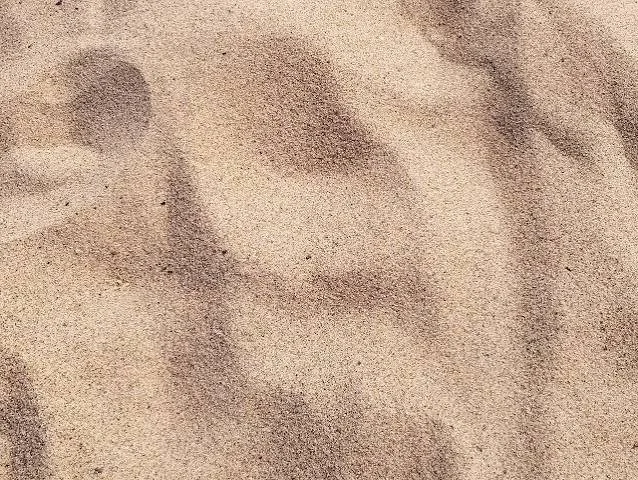 Des empreintes de pas dans du sable.