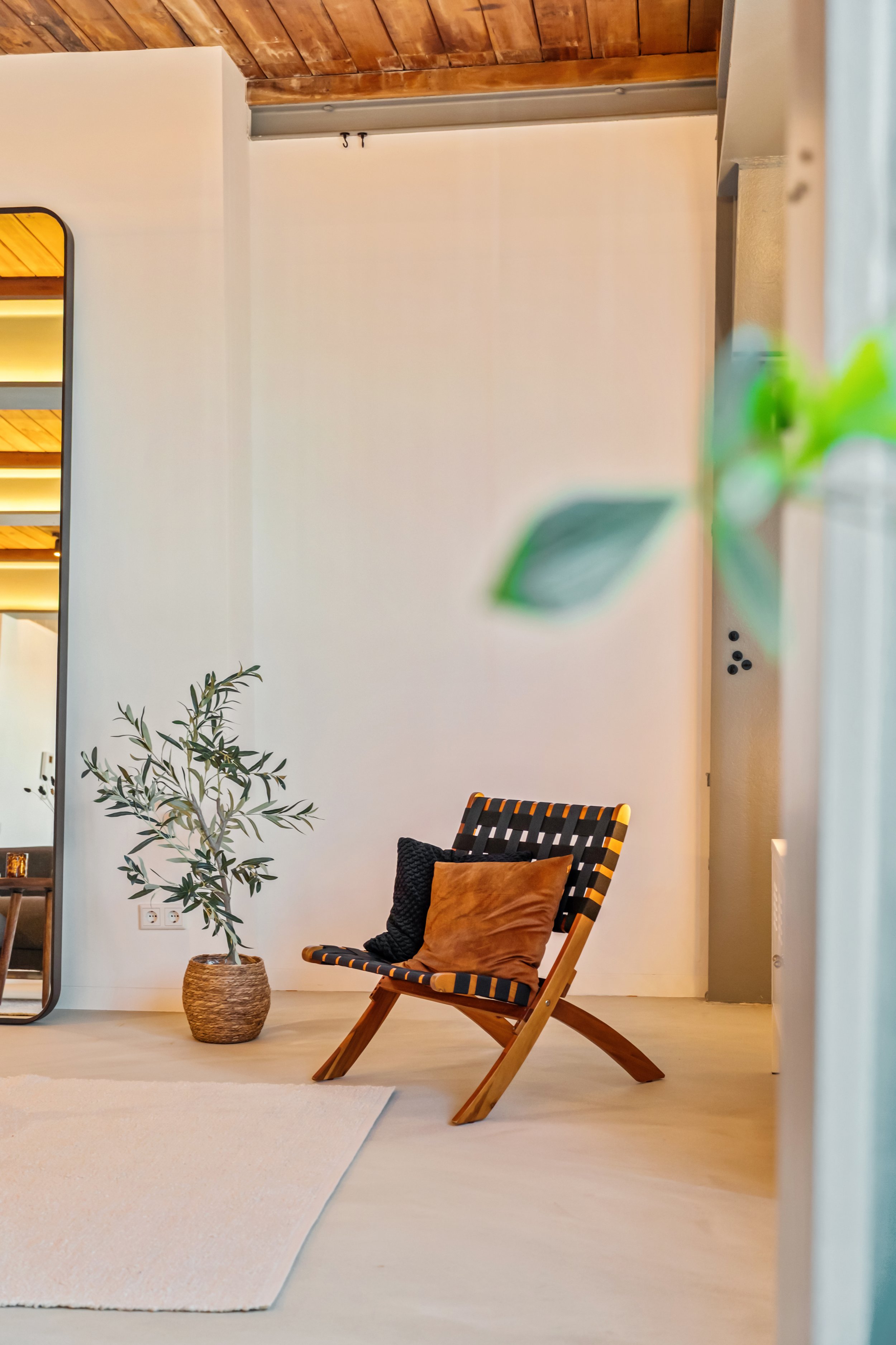Binnenkijker met een houten wand, een grote plant in een mand, een wandspiegel, een stoel met kussens, en een houten plafond.