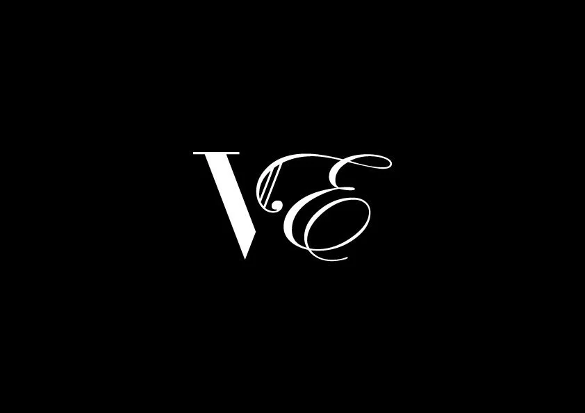 Vision Ensemble