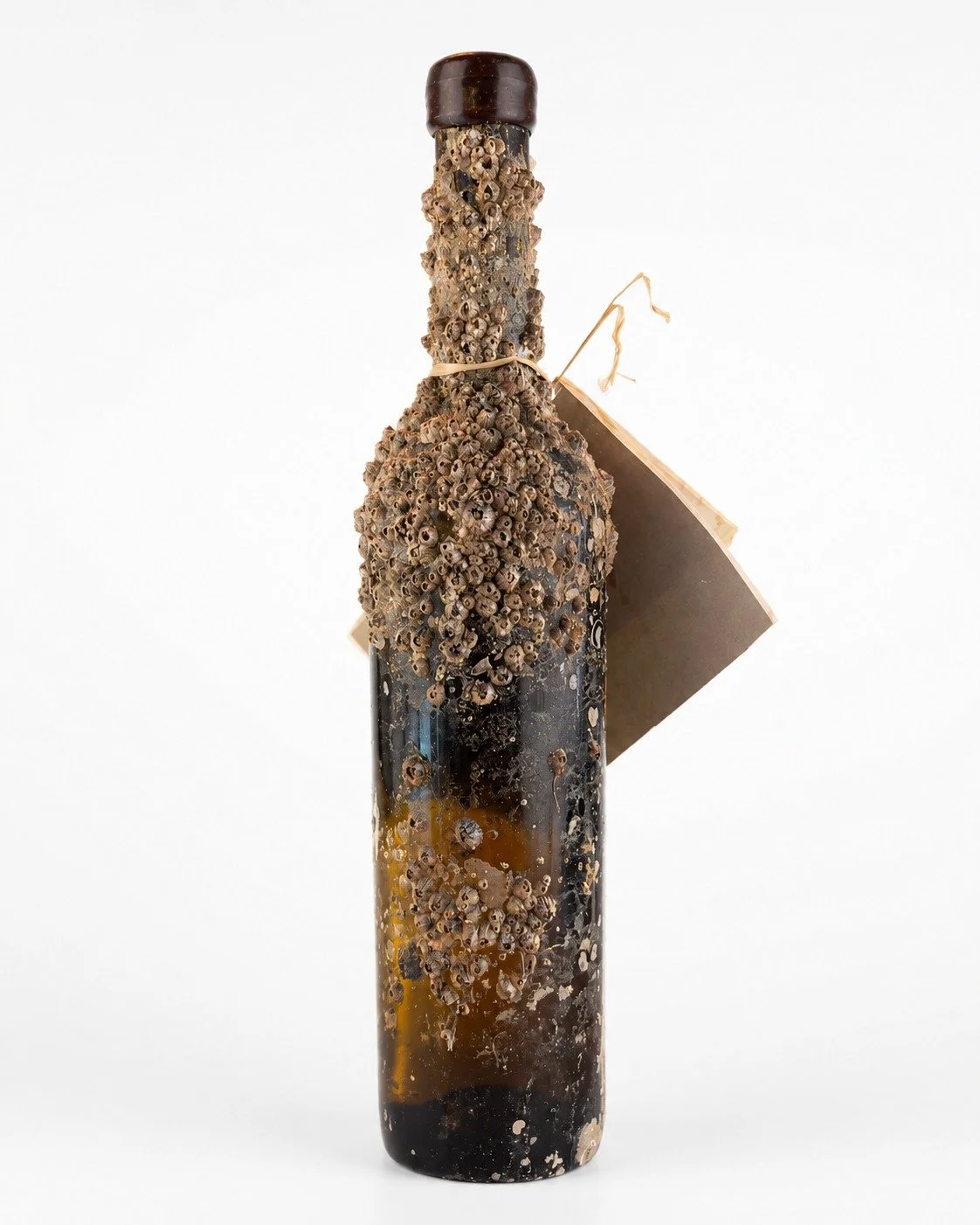 Sirenada — garrafa coberta de conchas / wine bottle covered in seashells