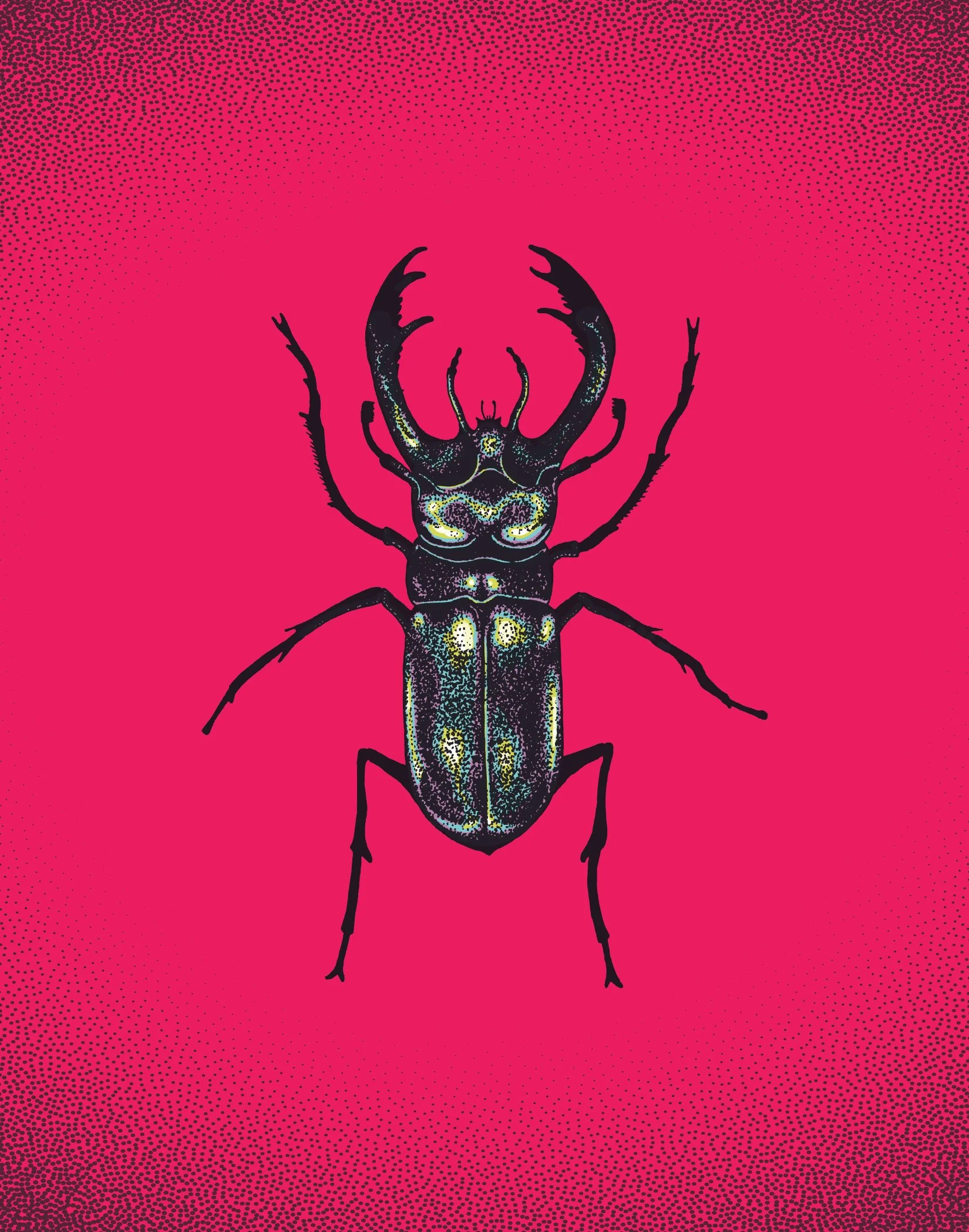 Beetle_11x14.jpg