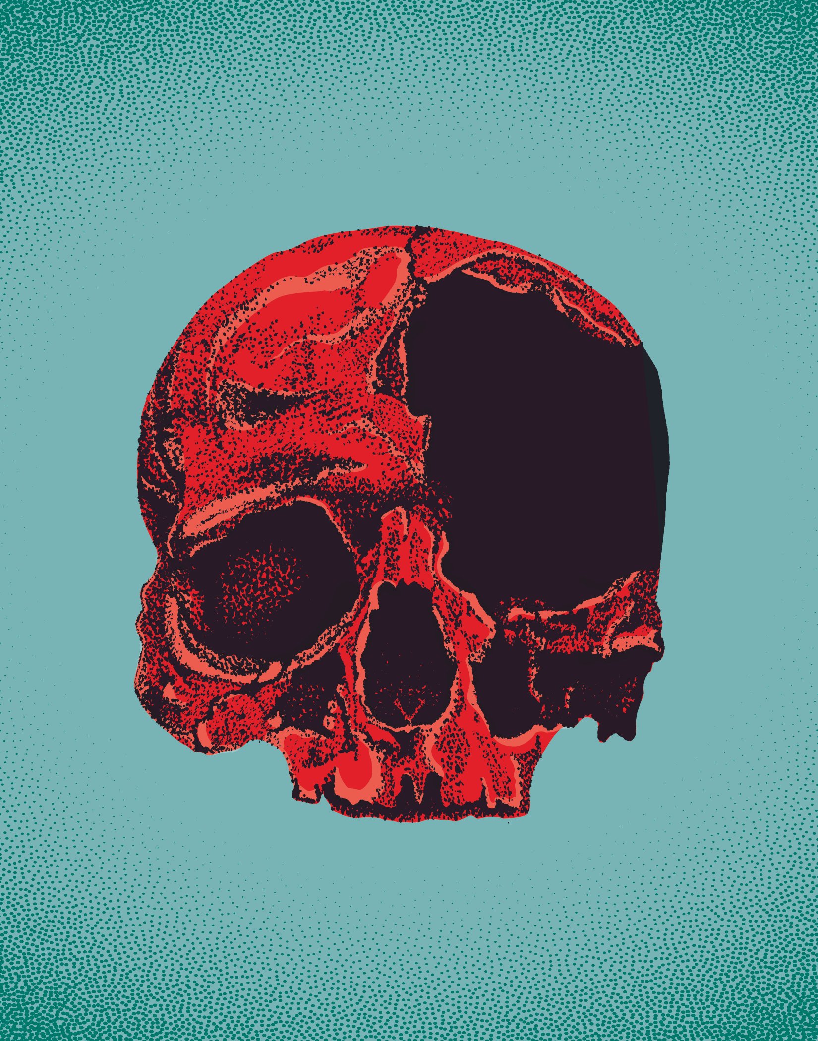 Skull_11x14-02.jpg