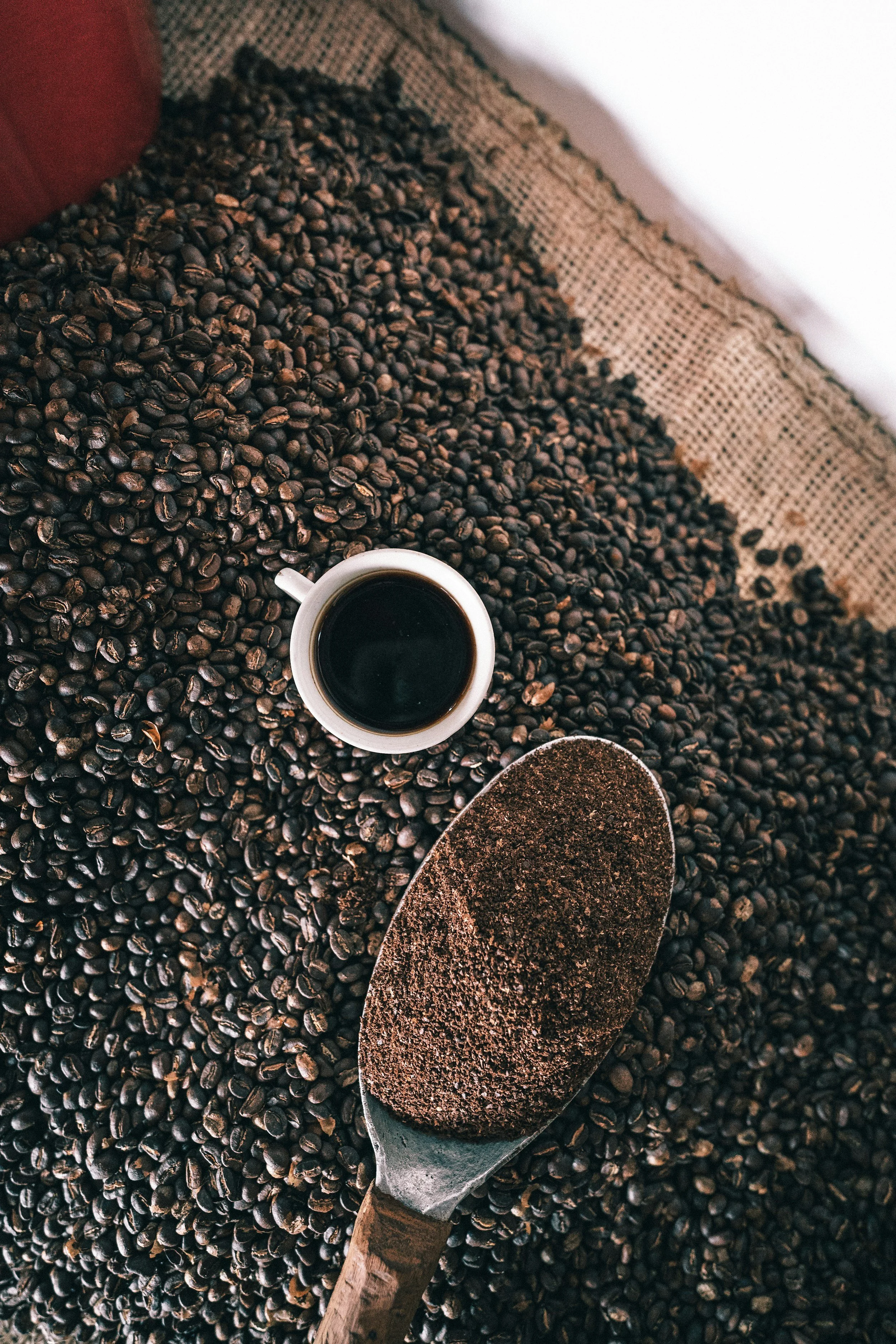 A cup of Colombian coffee and a scoop of ground coffee on roasted beans. Photograph by Juan Nino.