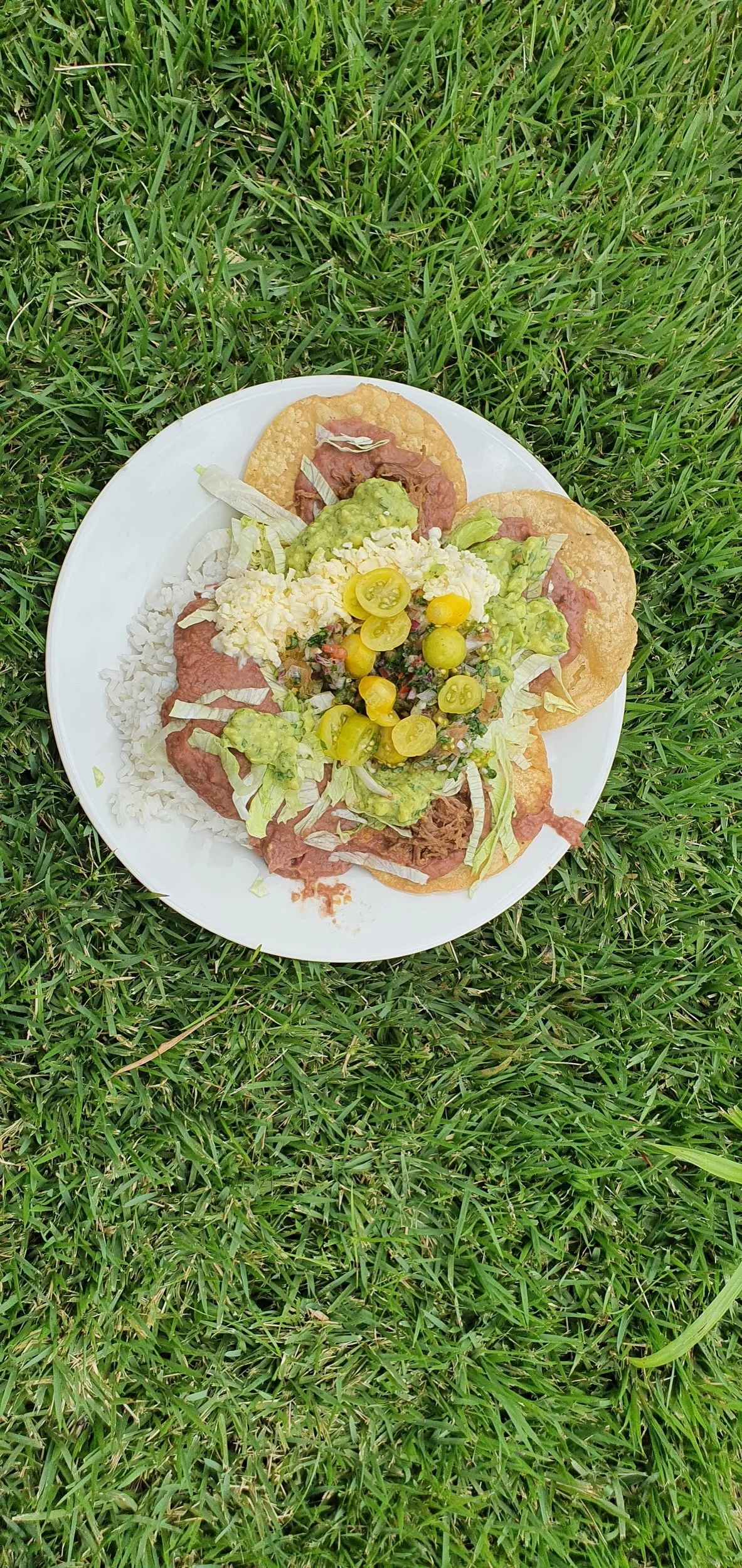 A colorful dish served at Araucana Lodge, with rice, beans, guacamole and yellow tomatoes.
