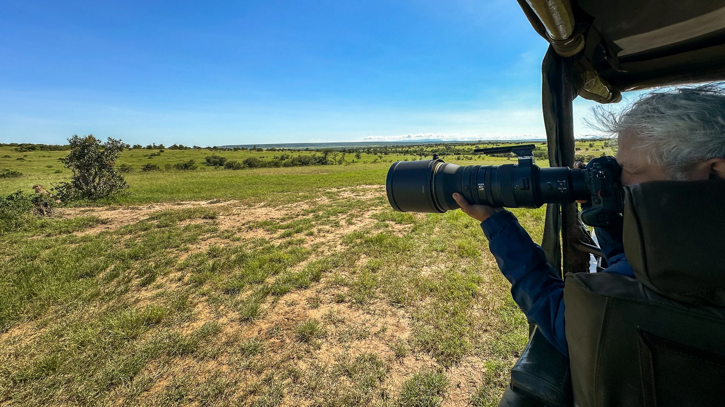 Salil Mehta in a safari vehicle; cheetah by a bush on the left.