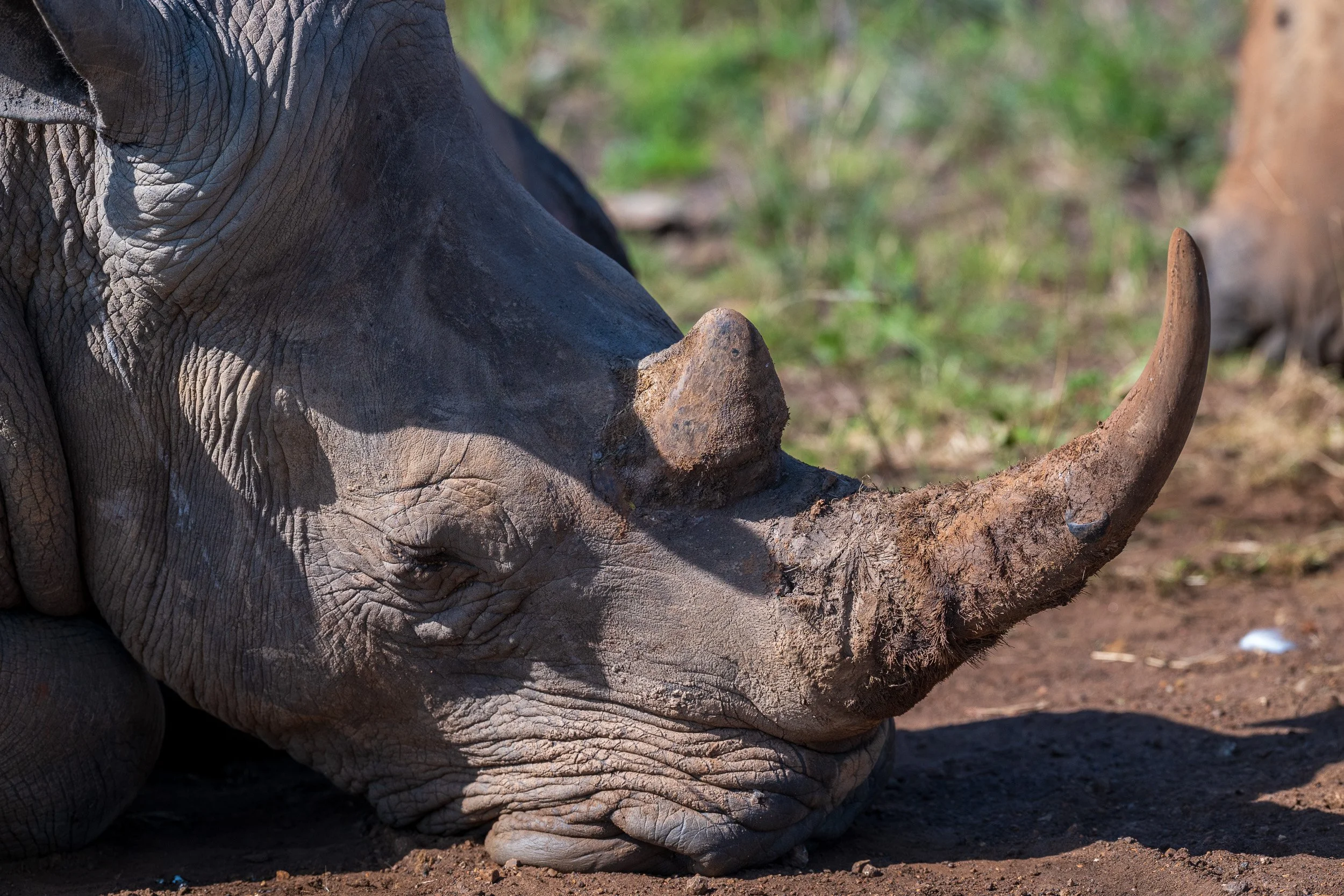 Kenya-36.jpg