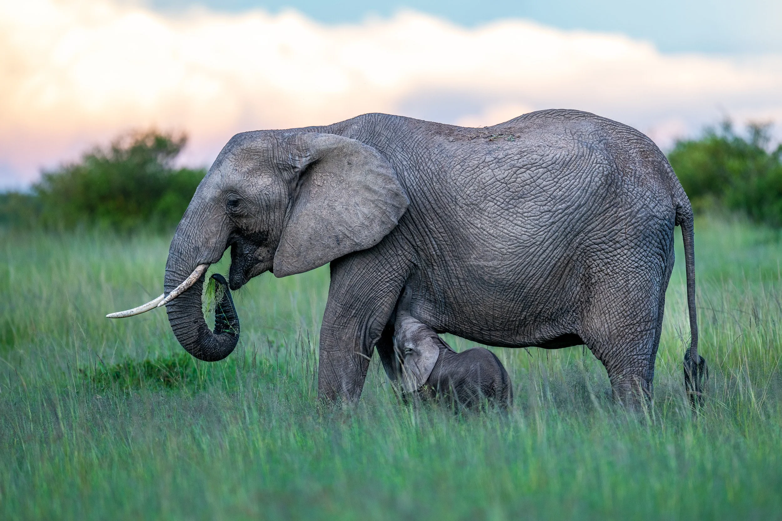 Kenya-33.jpg