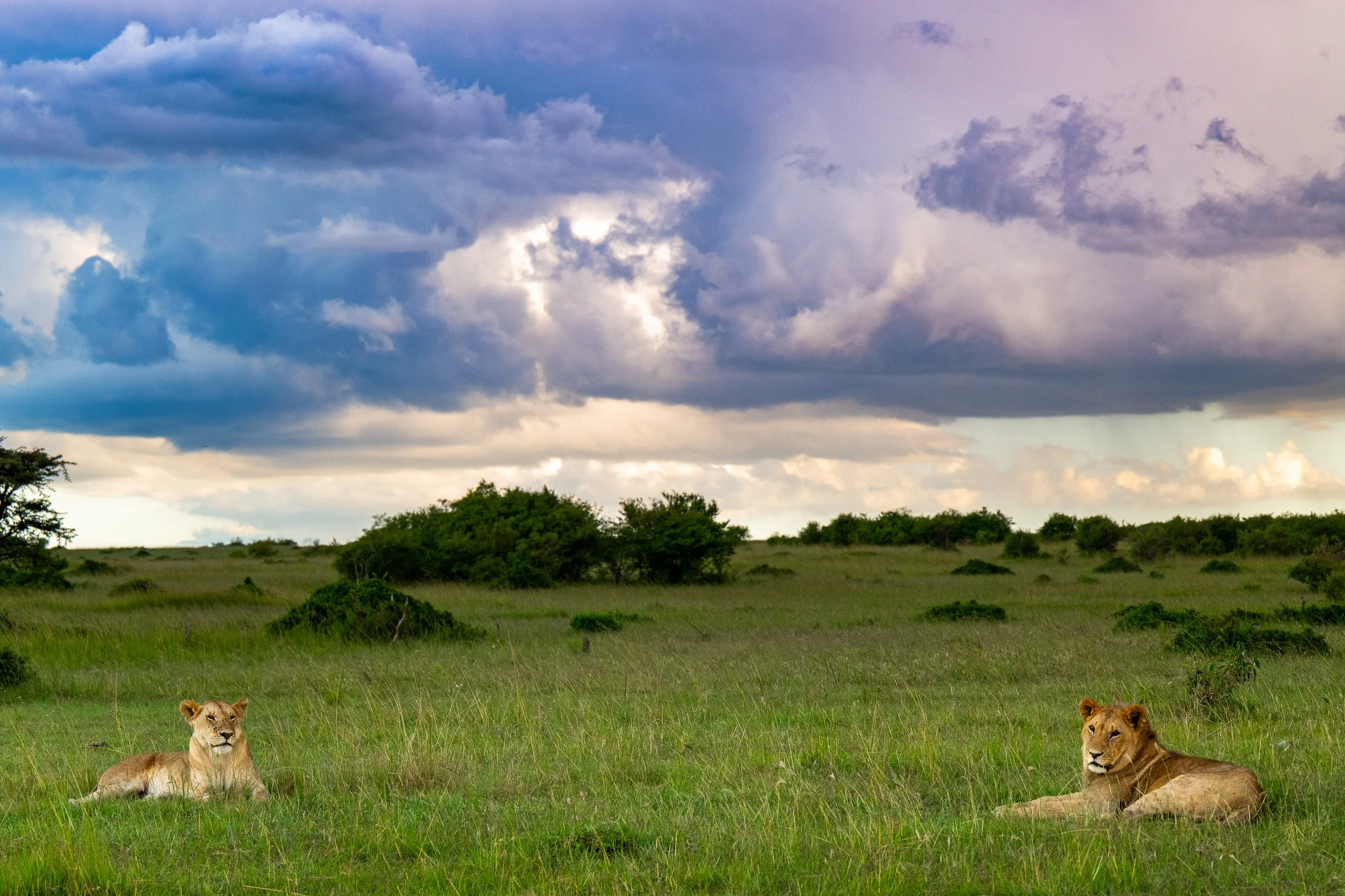 Kenya-31.jpg