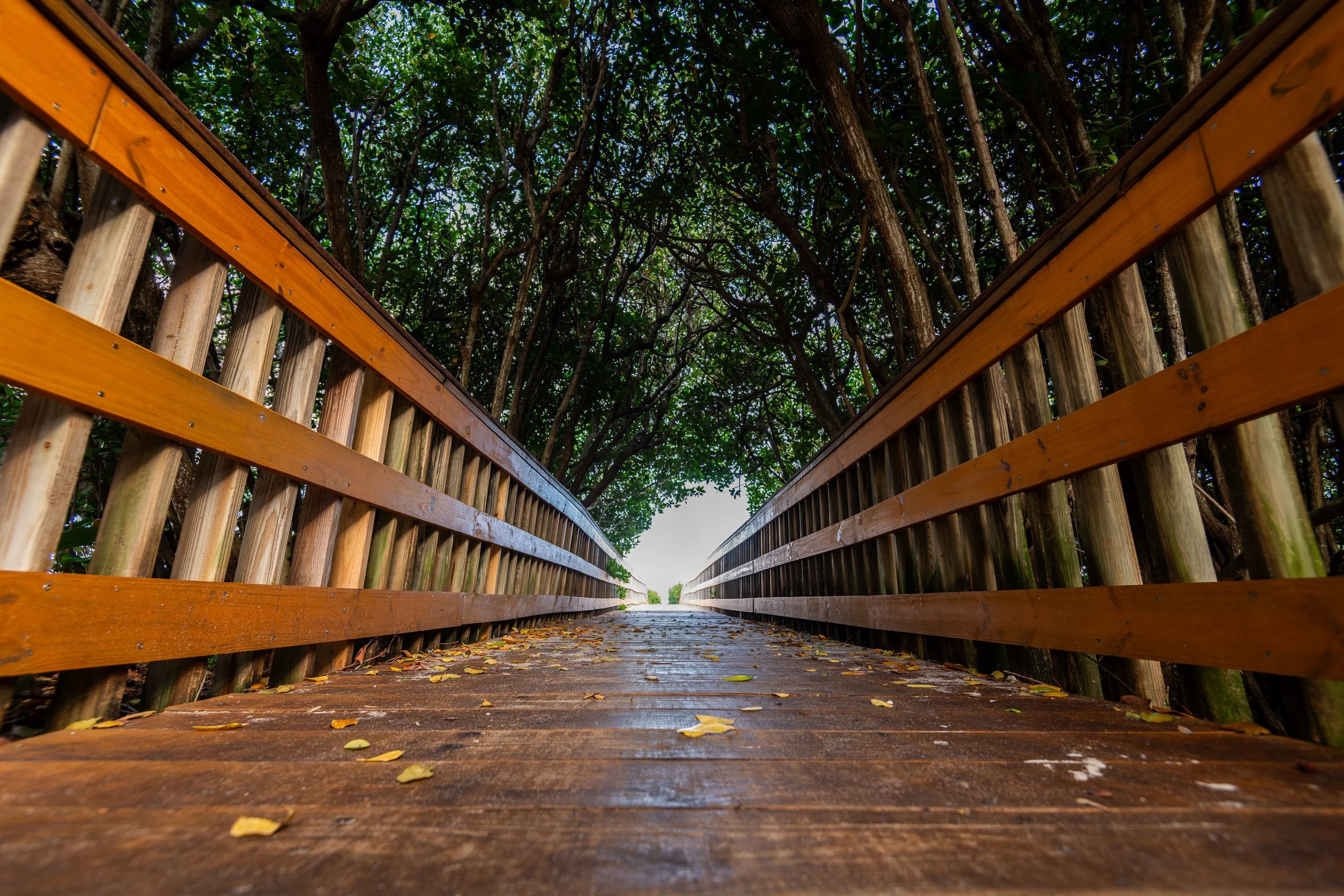 South Florida-02.jpg