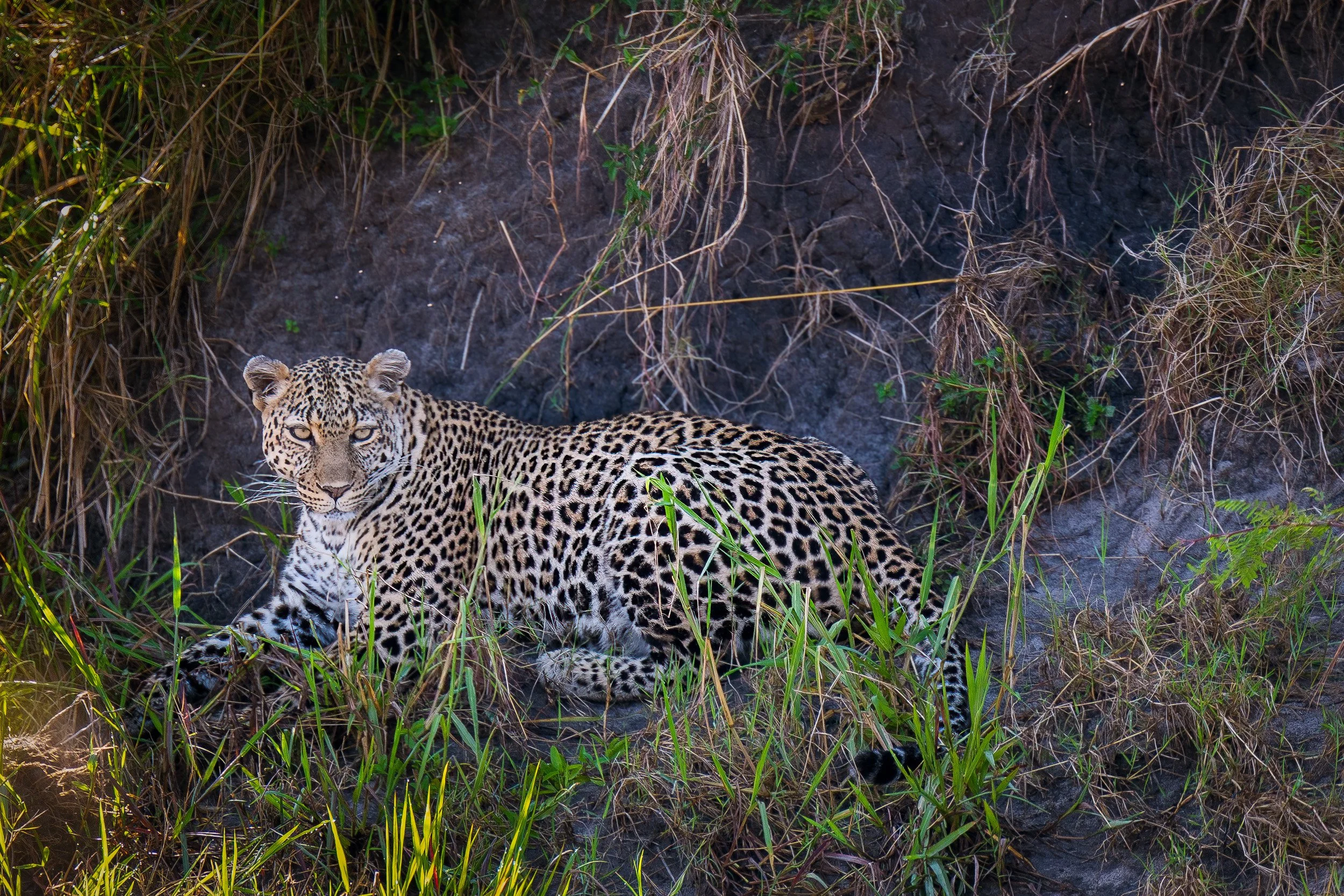 Kenya-08.jpg