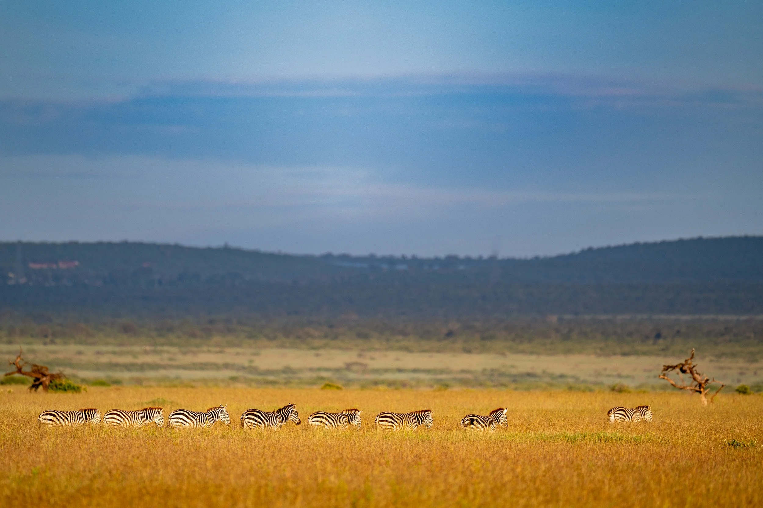 Kenya-21.jpg