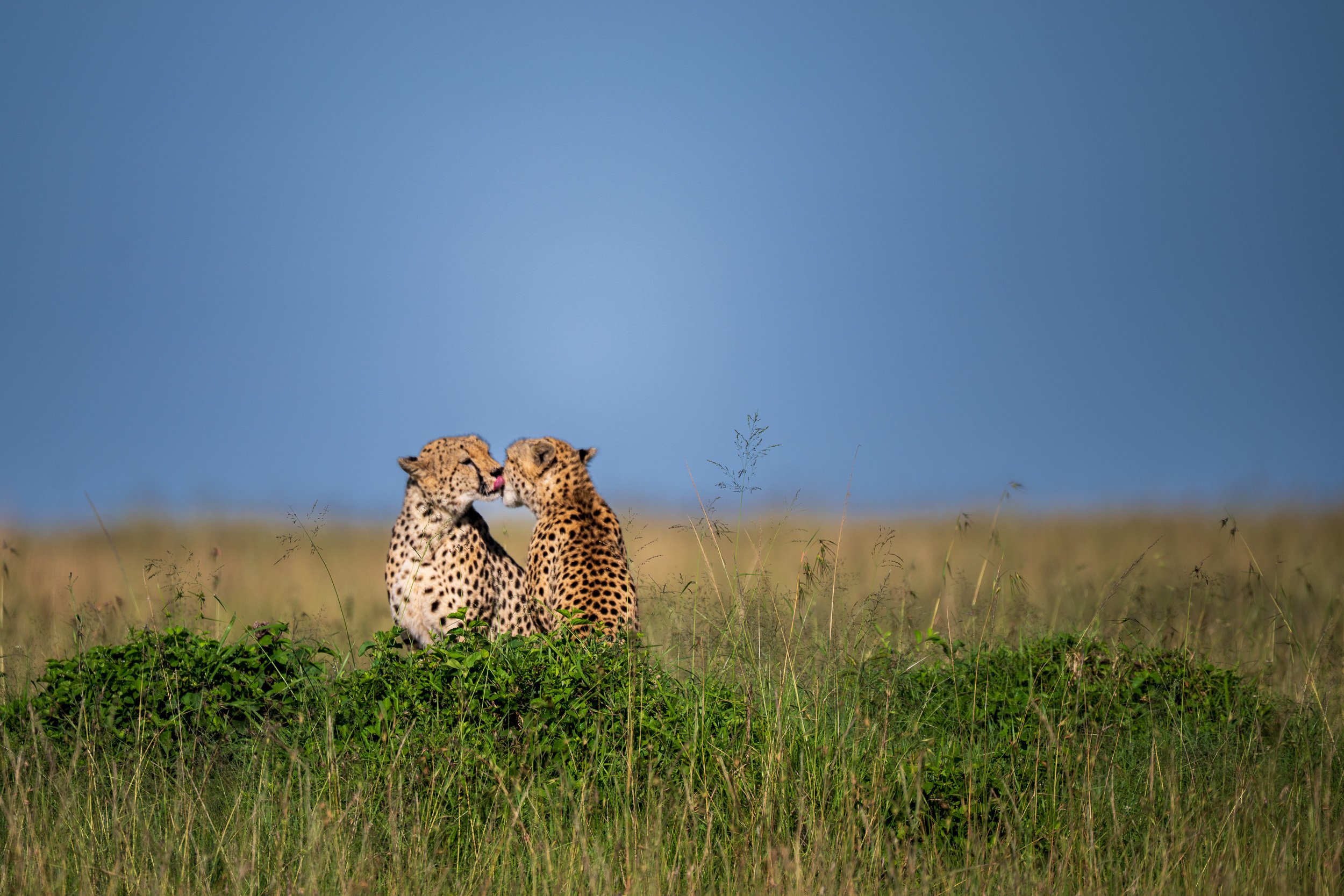 Kenya-05.jpg