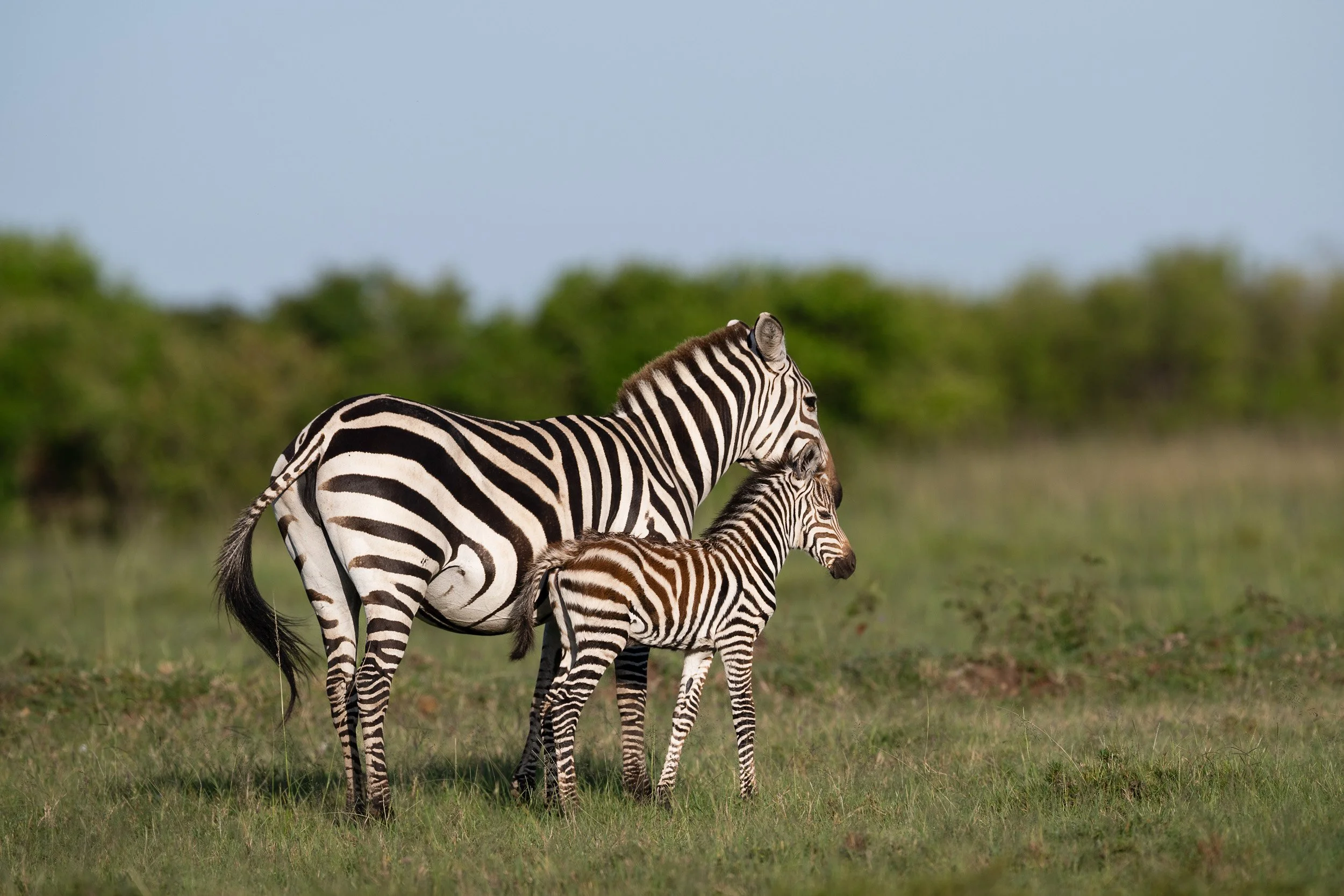 Kenya-42.jpg
