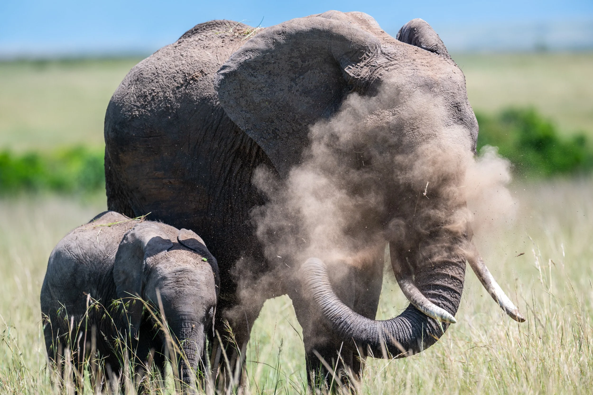 Kenya-17.jpg
