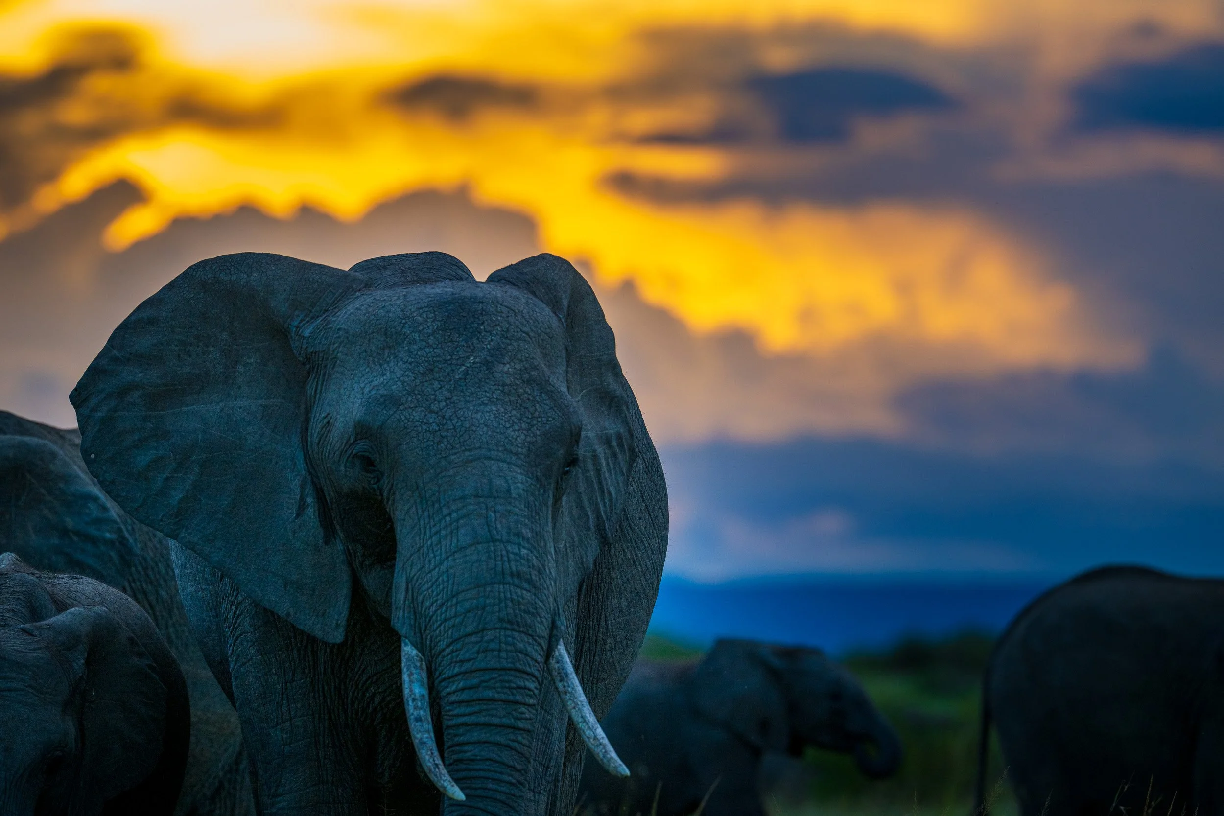 Kenya-06.jpg