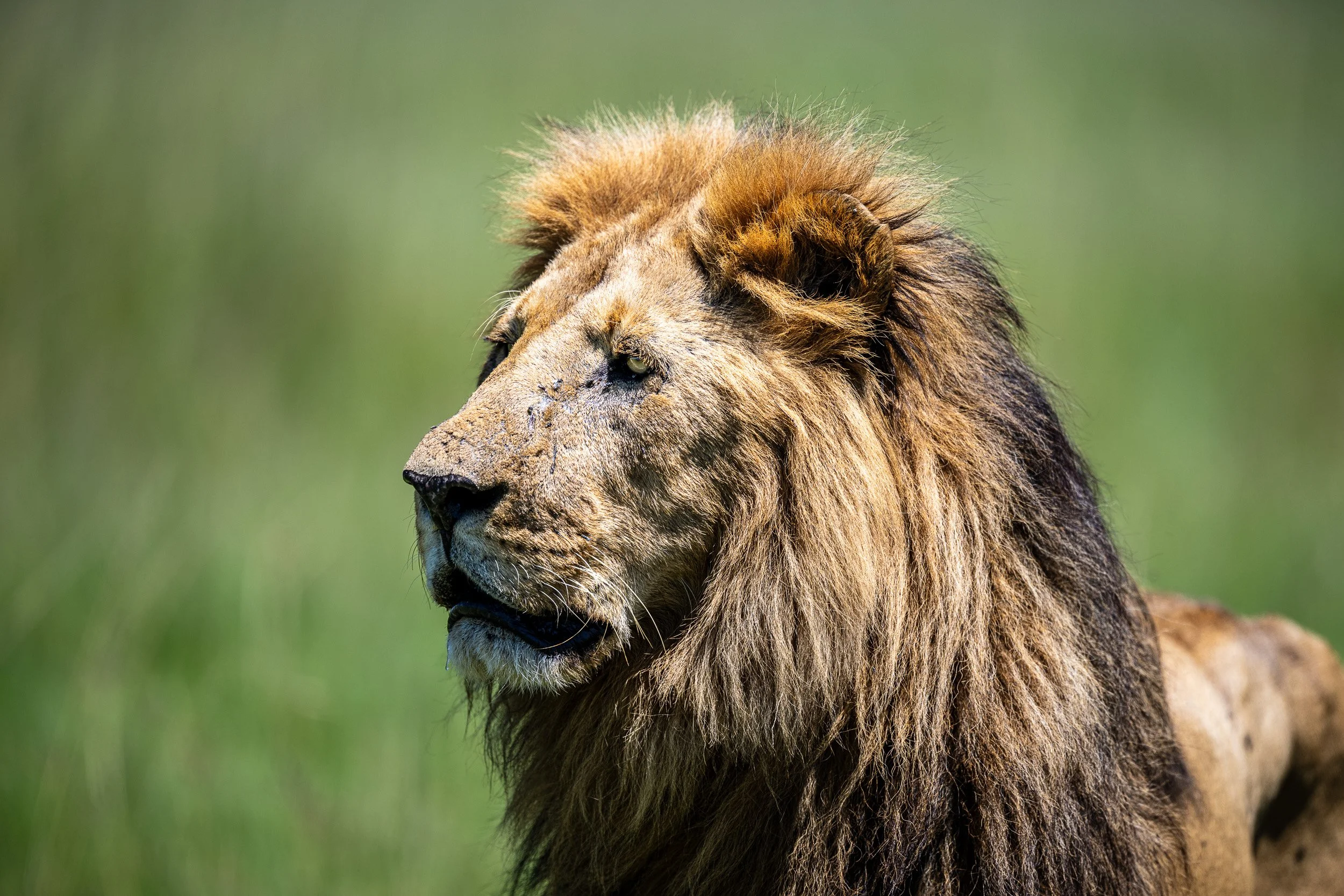 Kenya-47.jpg