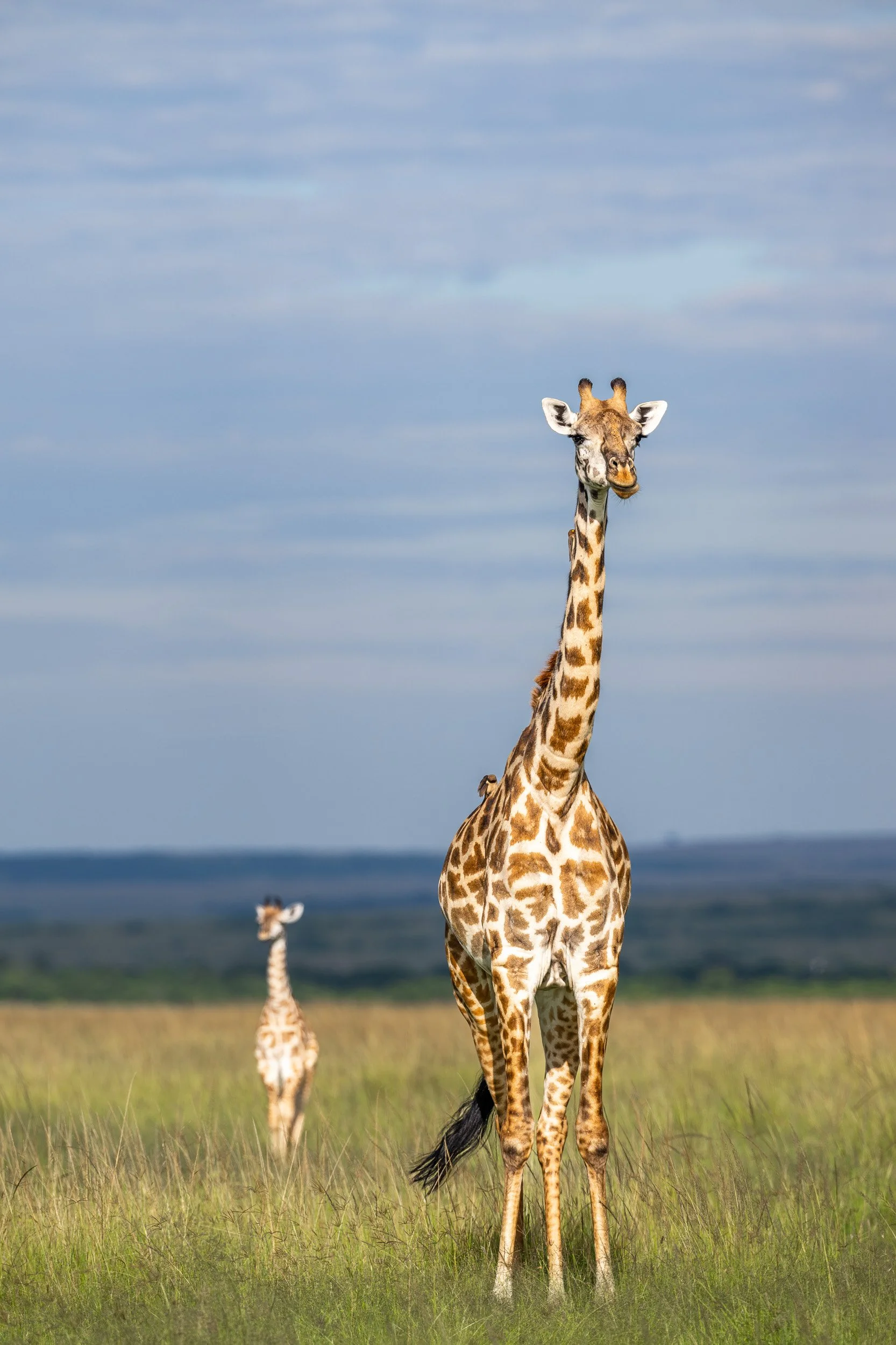 Kenya-19.jpg