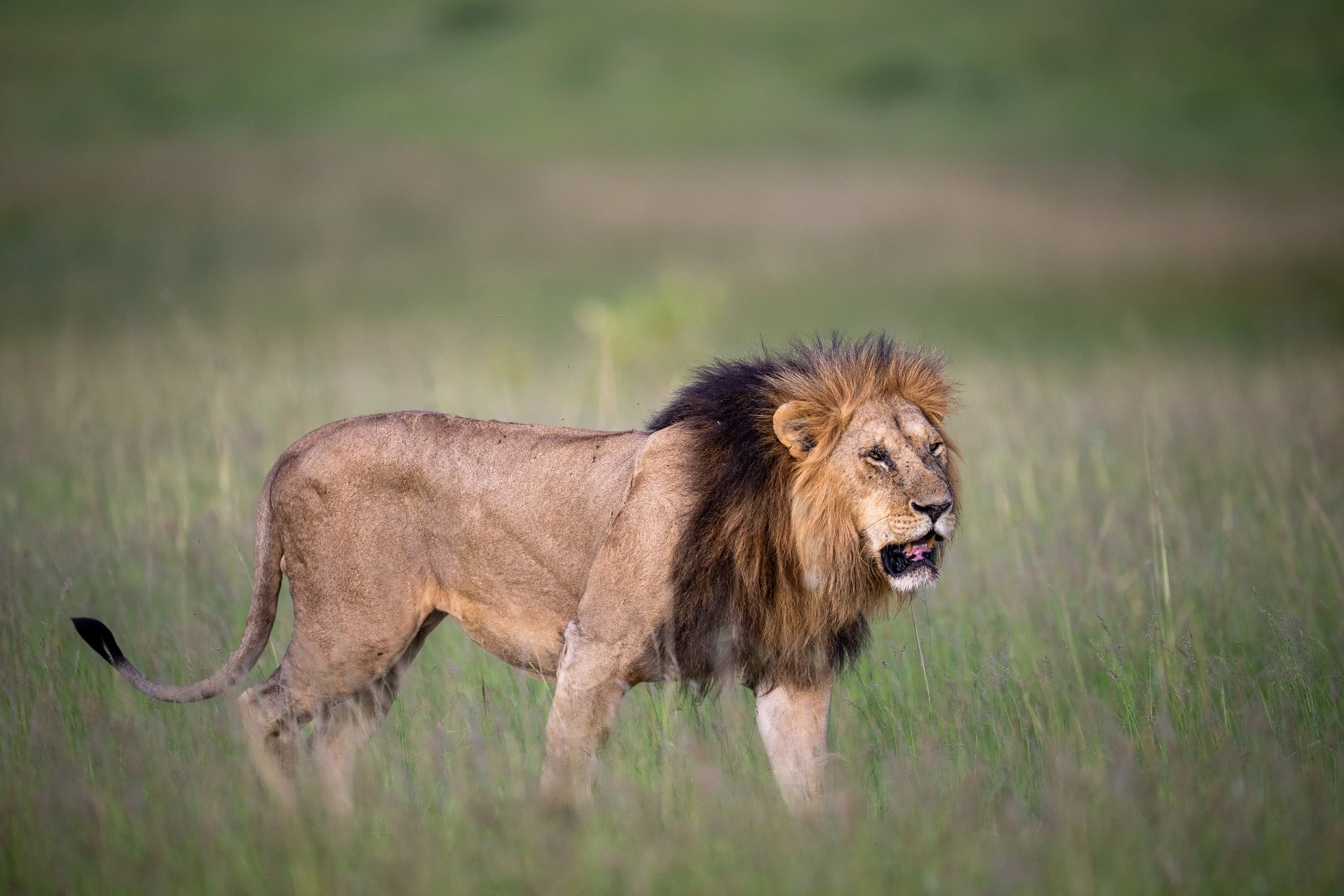Kenya-23.jpg