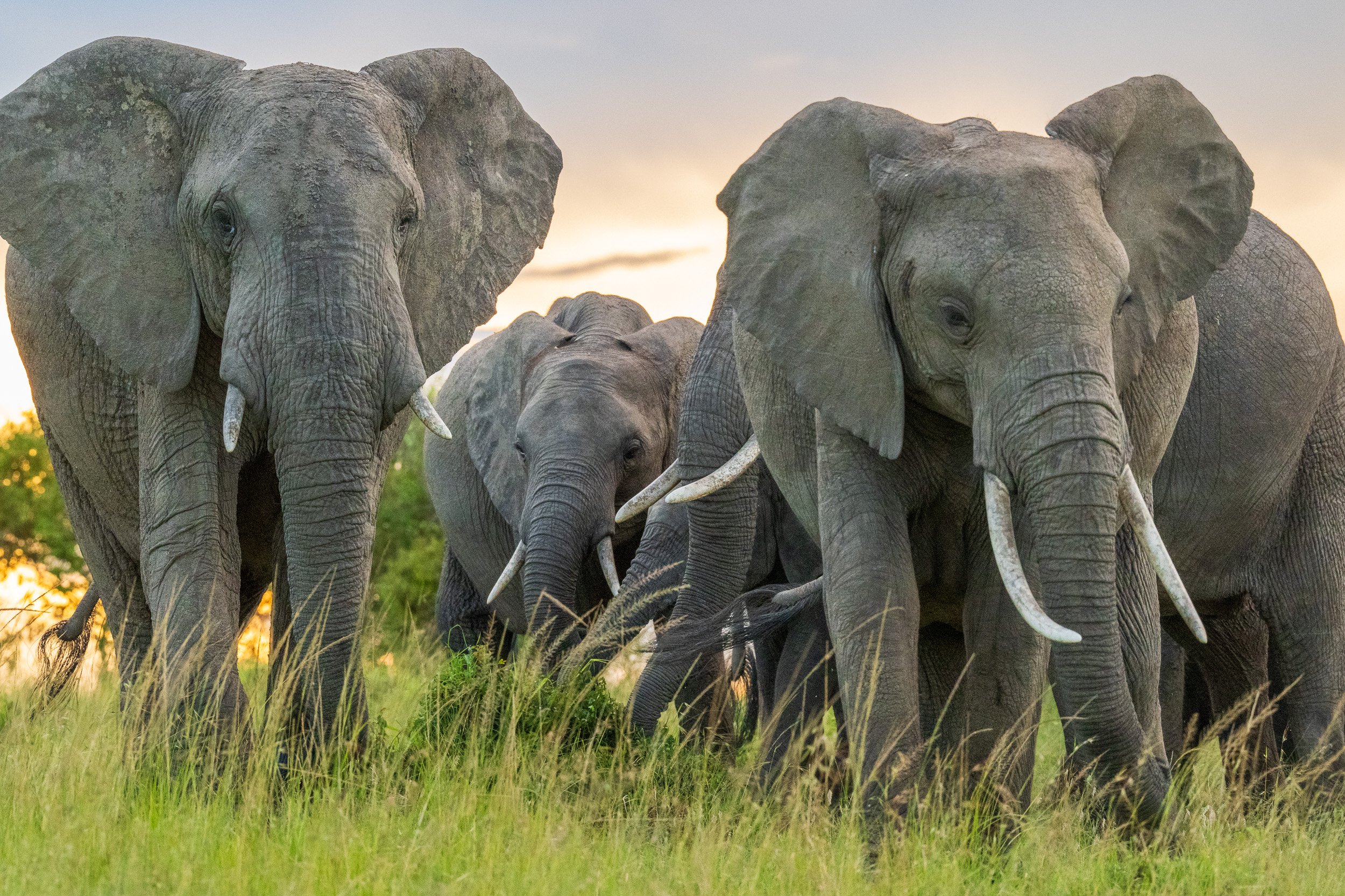 Kenya-03.jpg