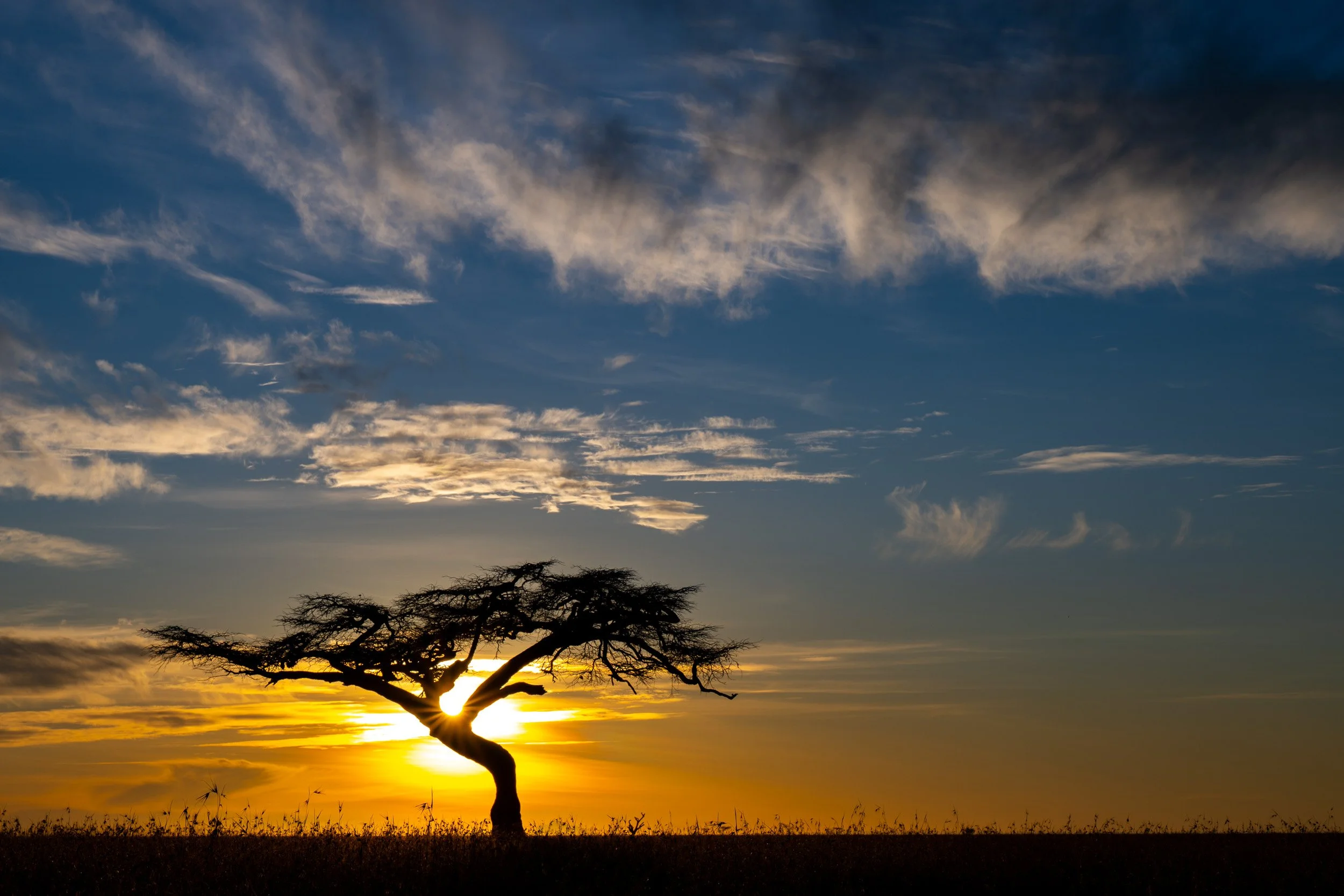 Kenya-15.jpg