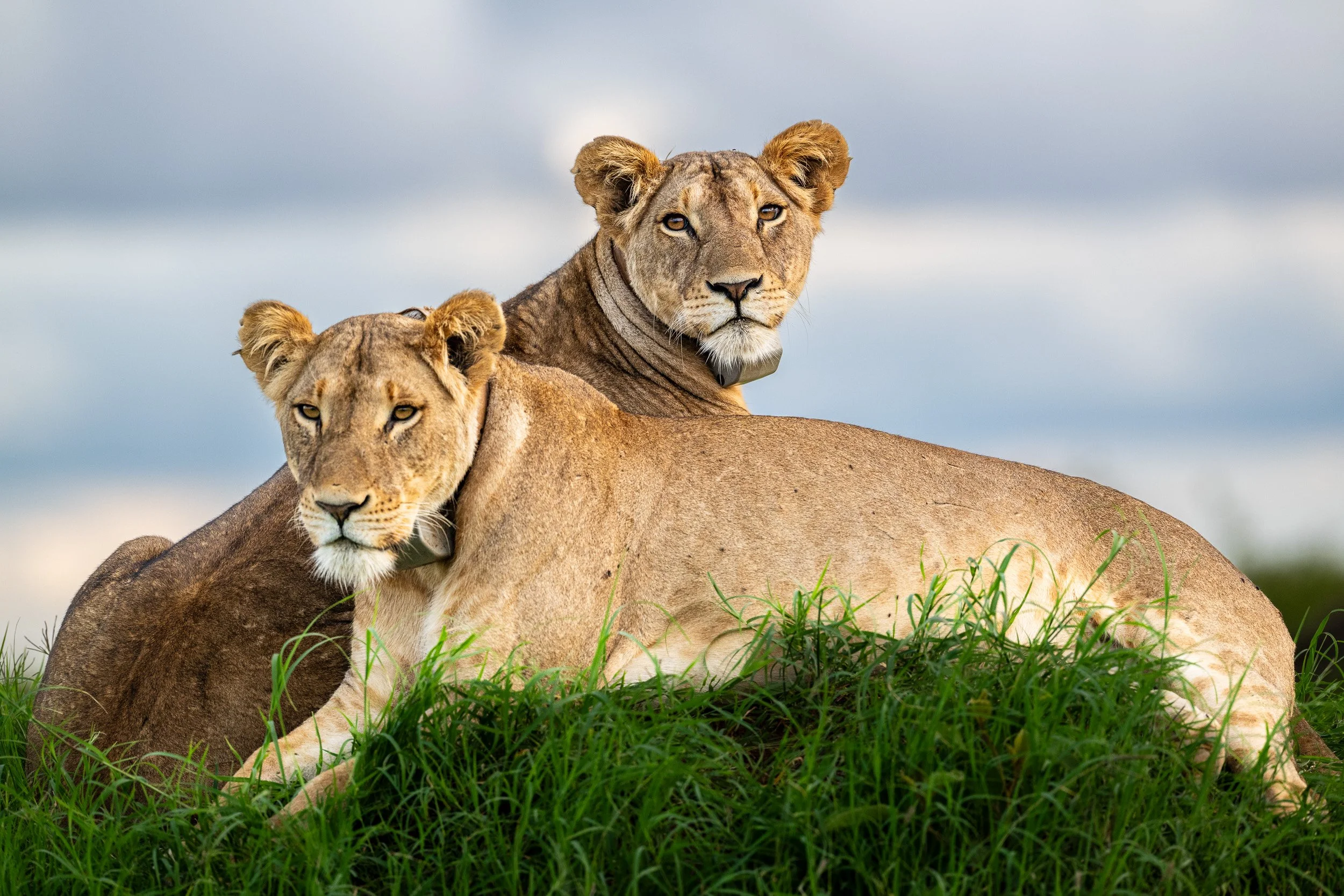 Kenya-16.jpg