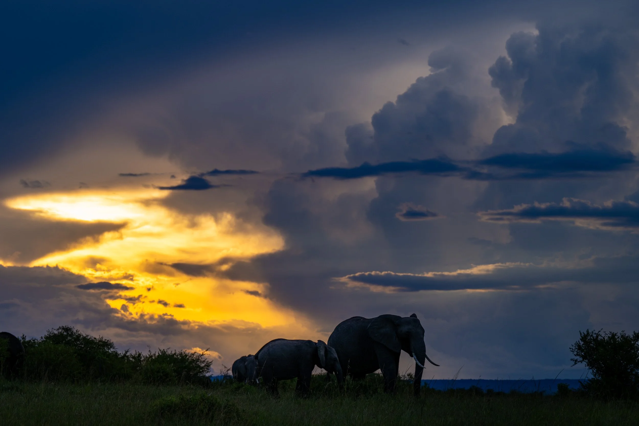Kenya-40.jpg