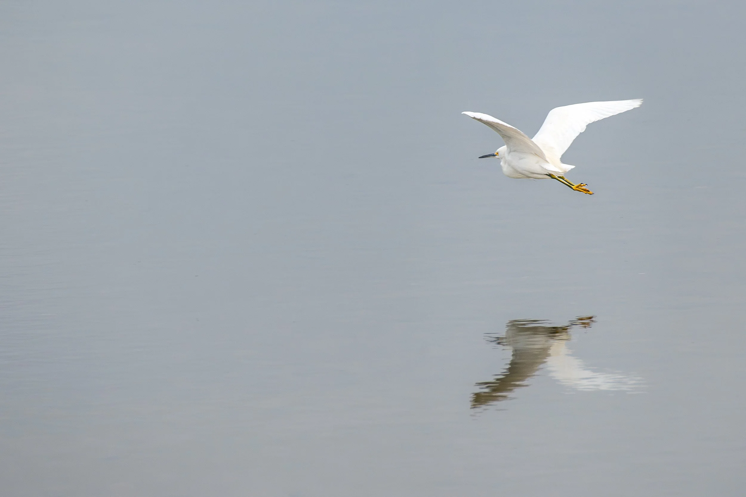 Bolsa Chica-1.jpg