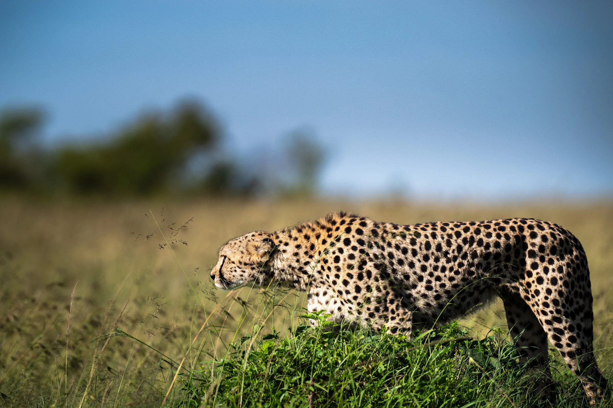 Kenya-28.jpg