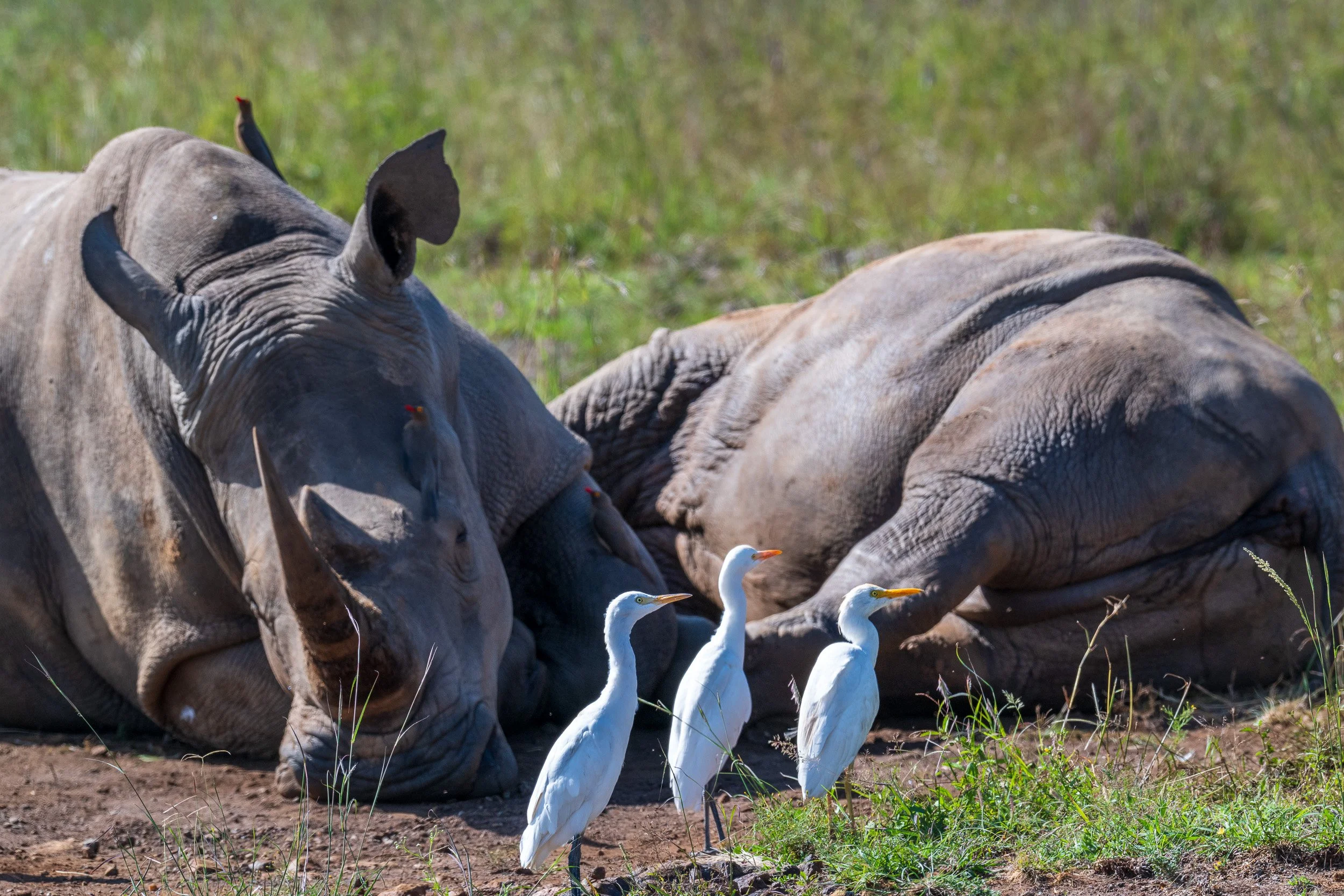Kenya-26.jpg