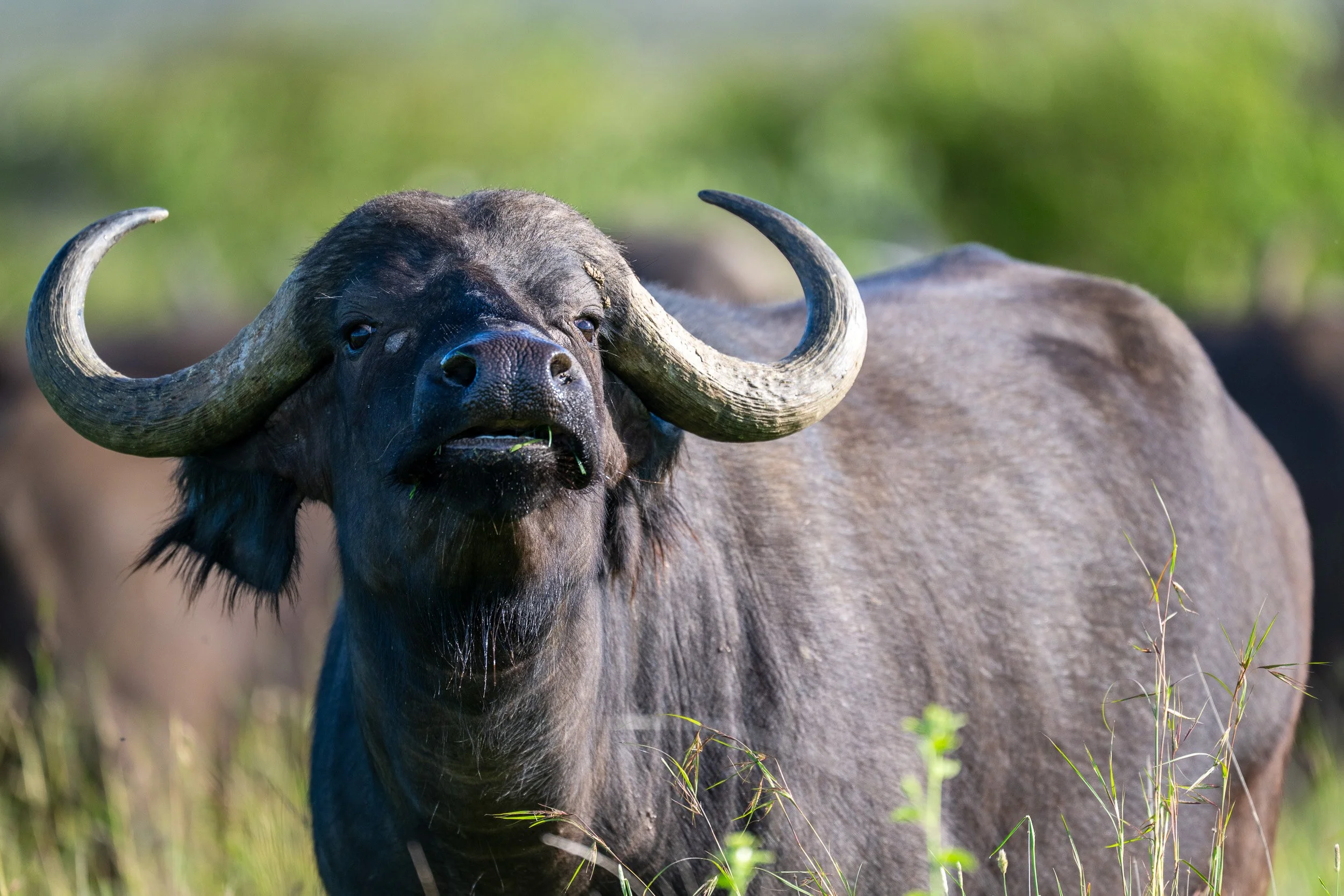 Kenya-46.jpg