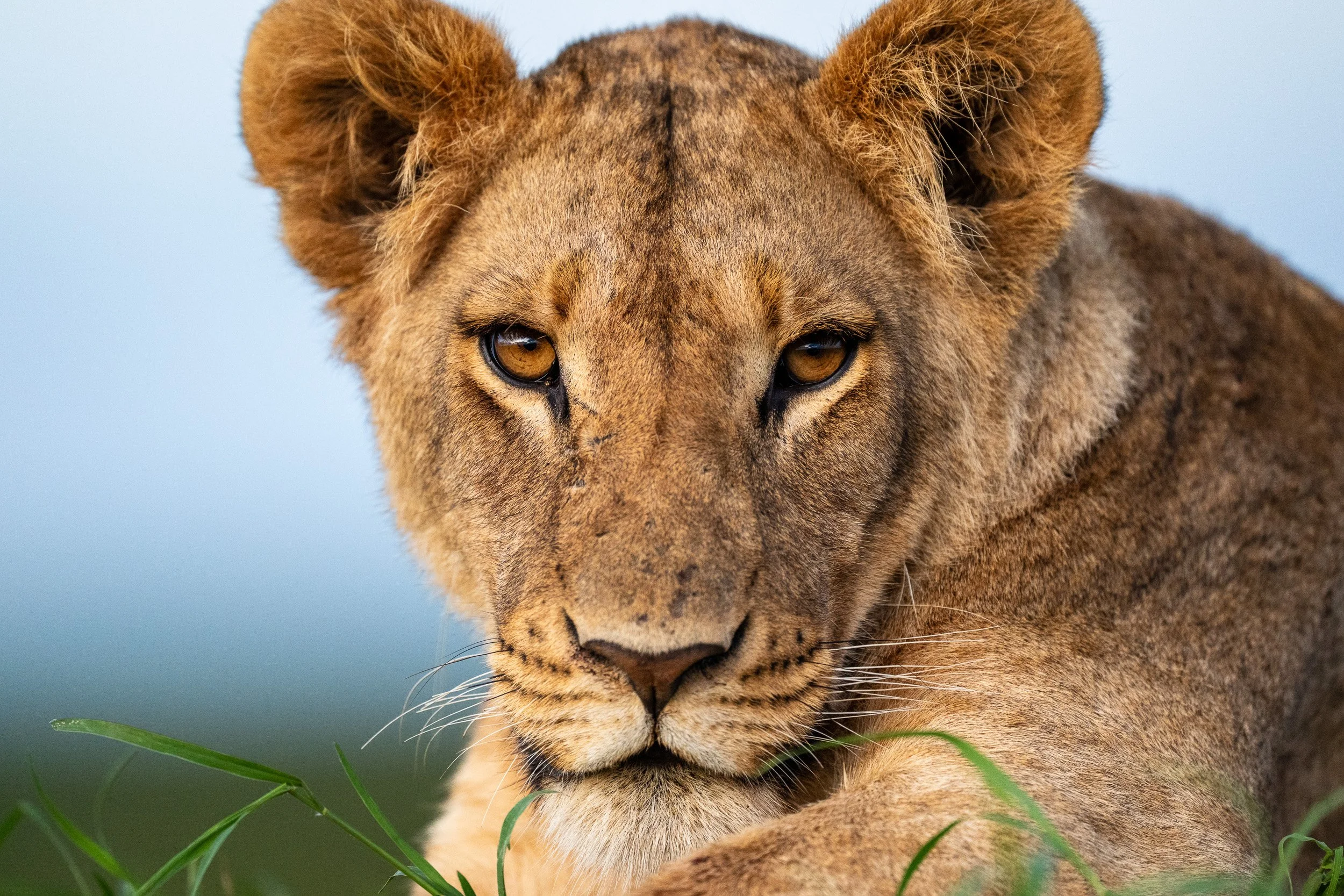 Kenya-37.jpg