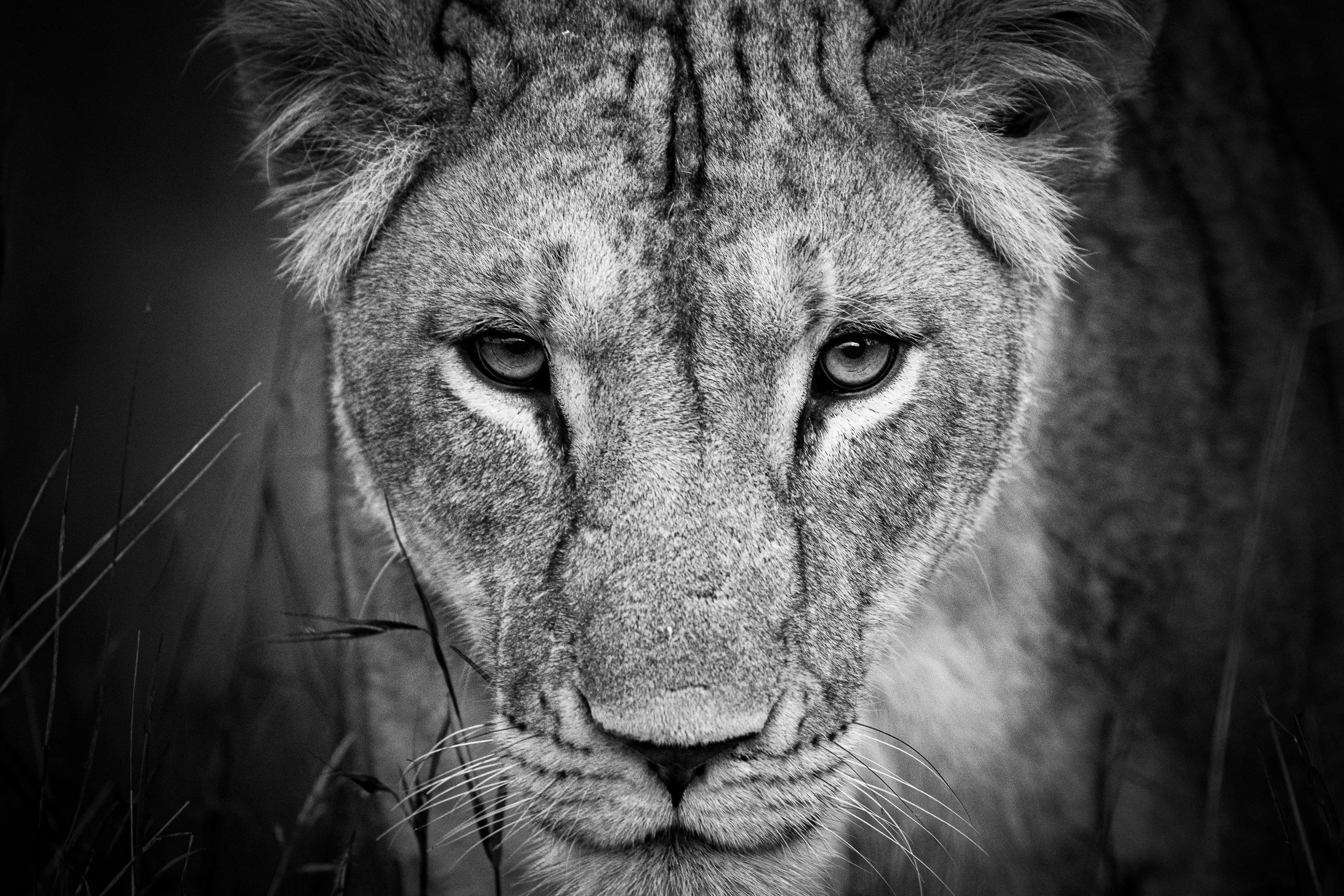 Kenya-02.jpg