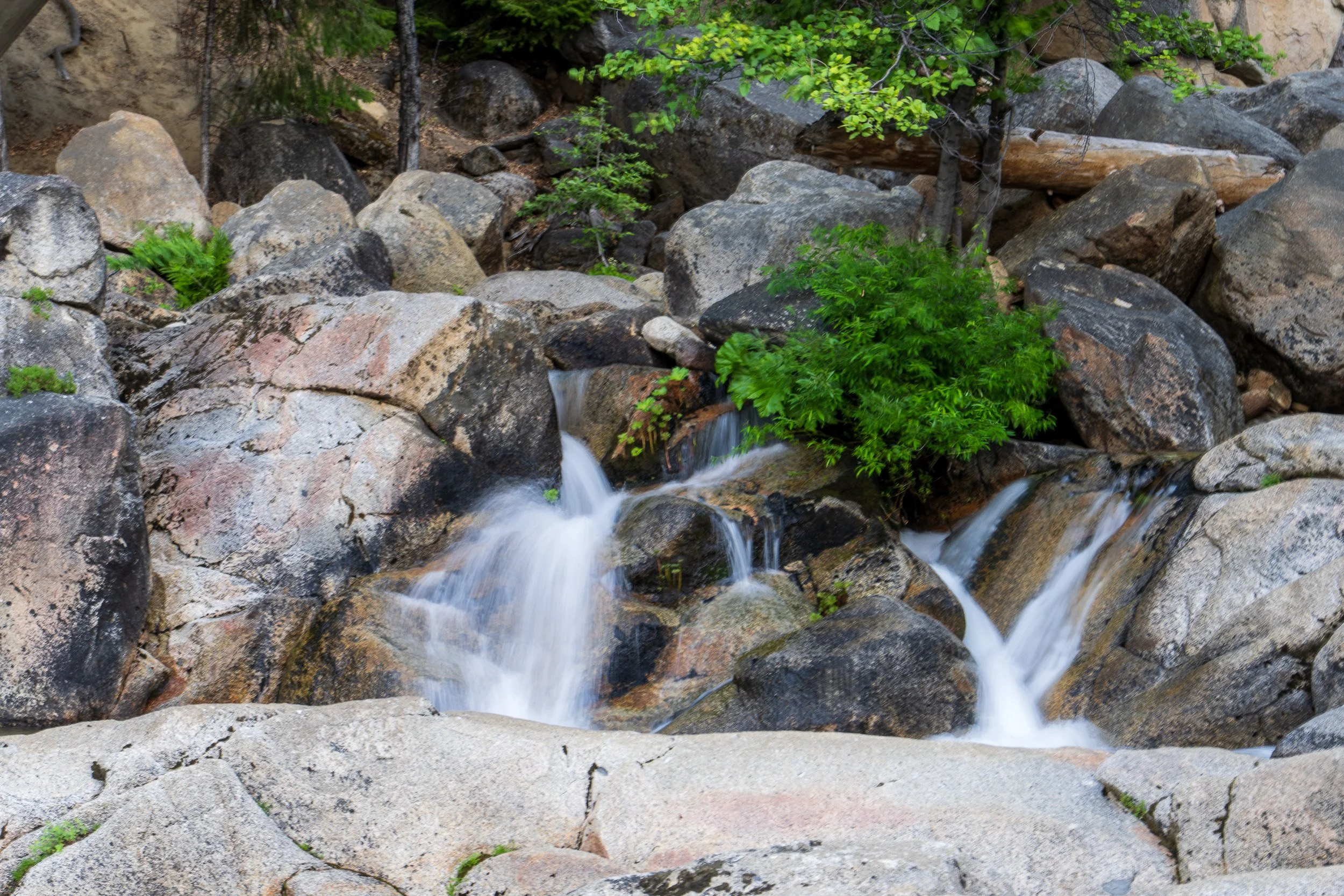 Yosemite-10.jpg