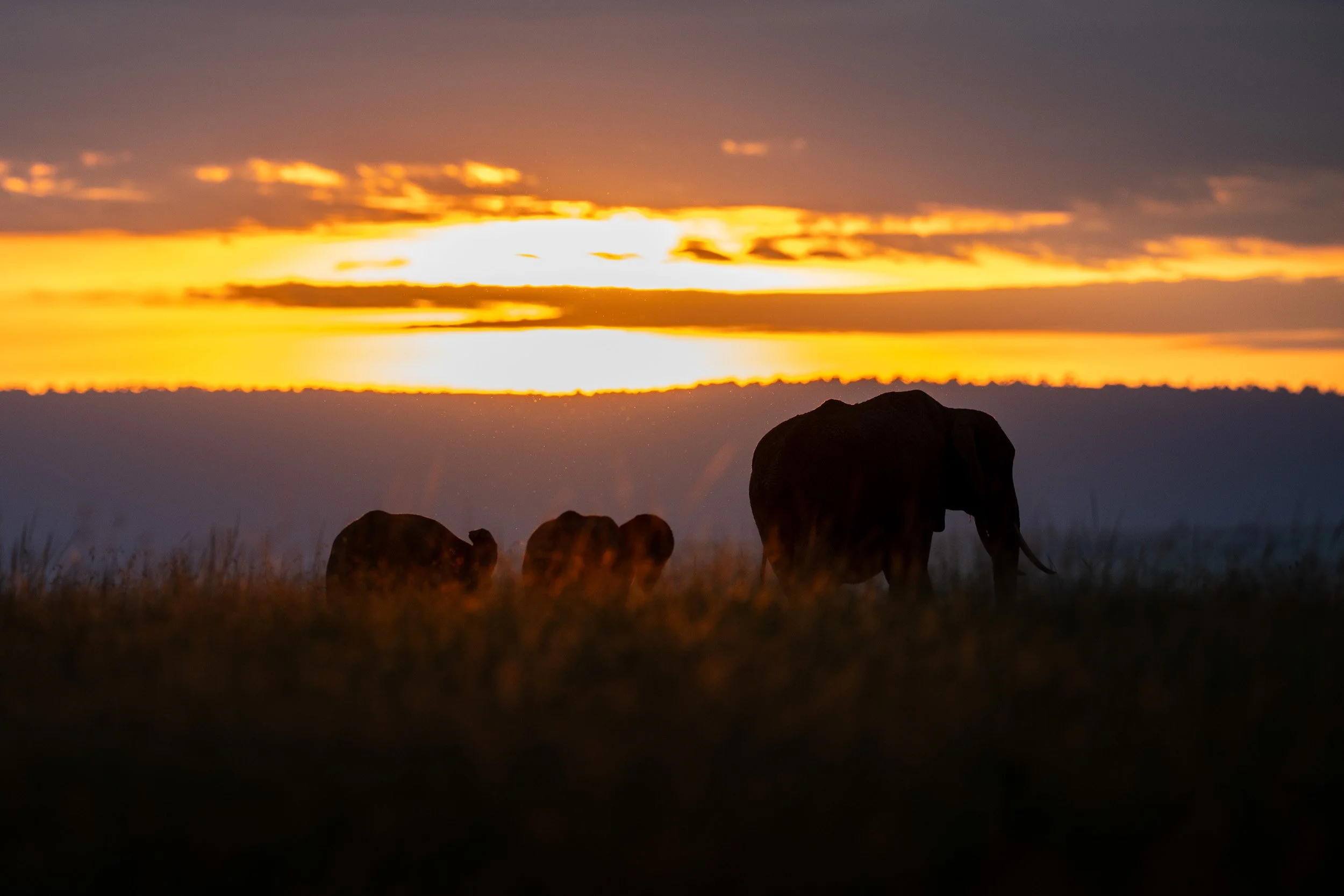 Kenya-49.jpg