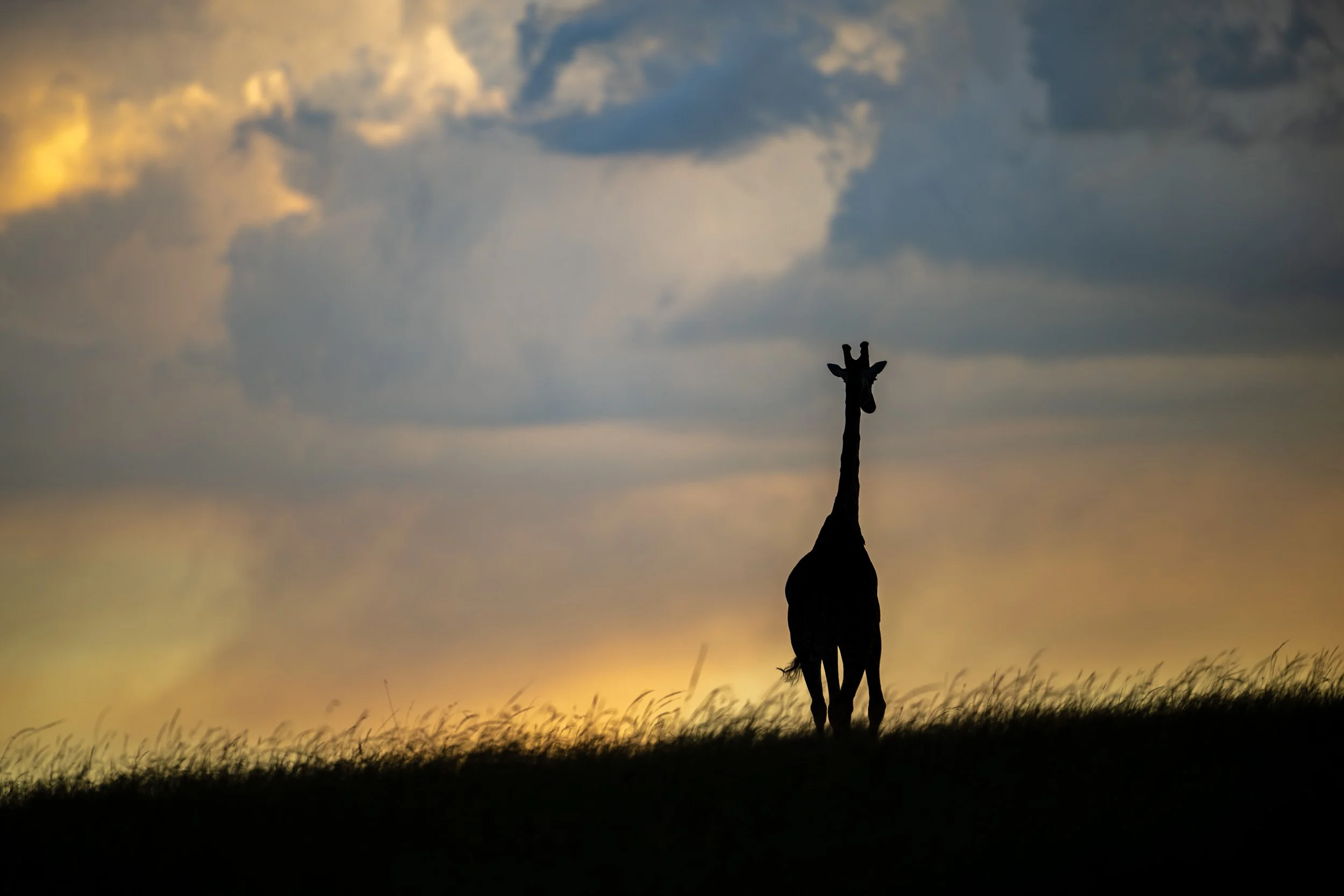 Kenya-01.jpg