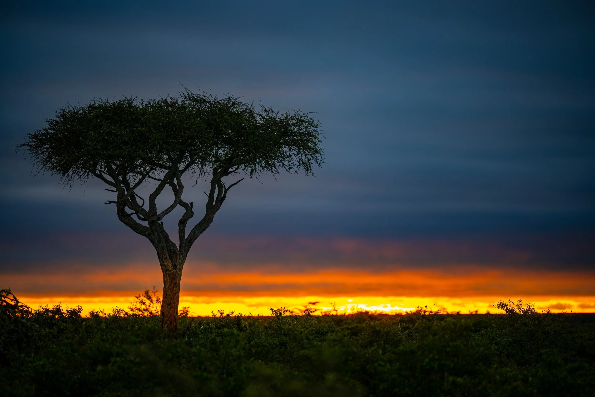 Kenya-38.jpg