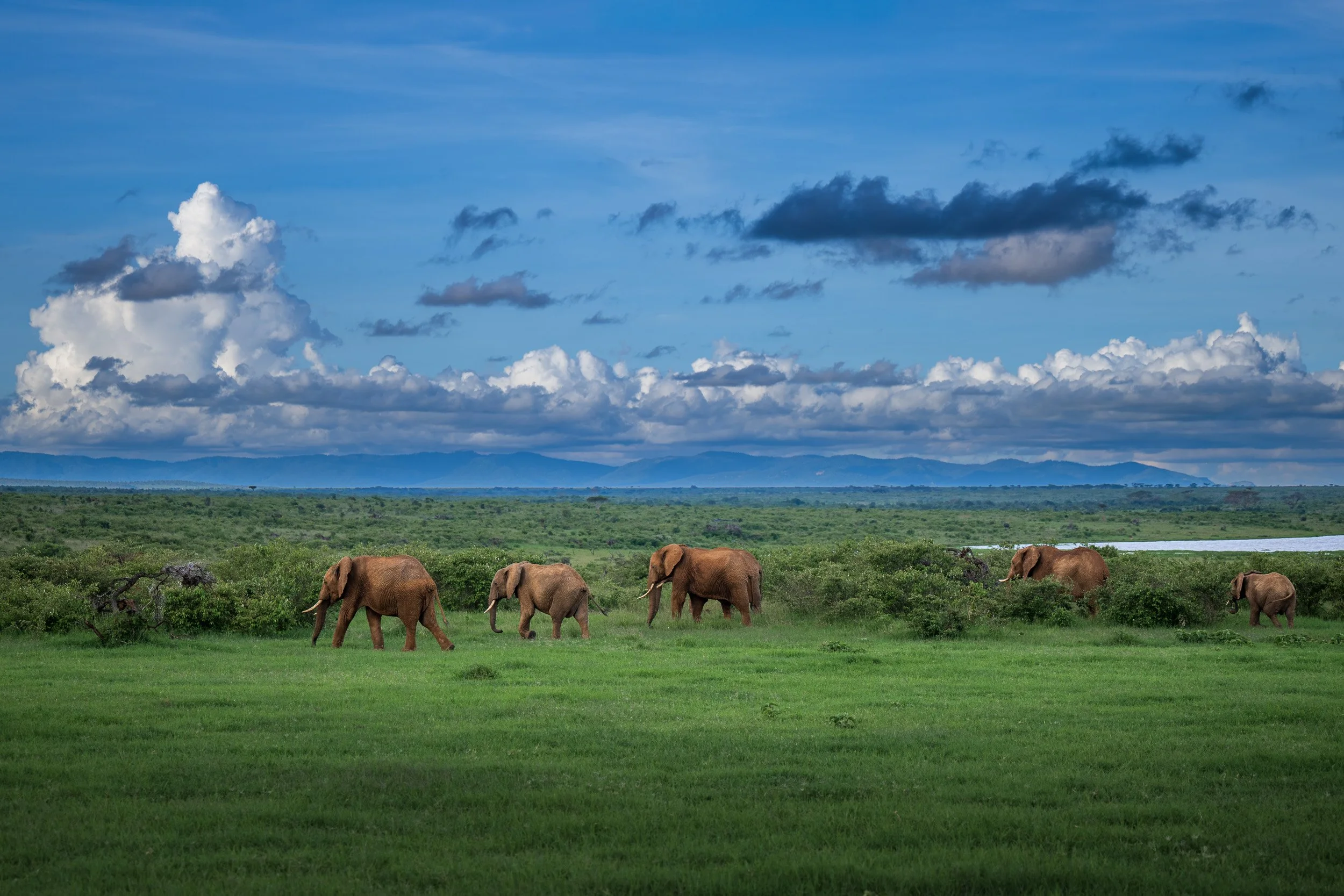 Kenya-09.jpg