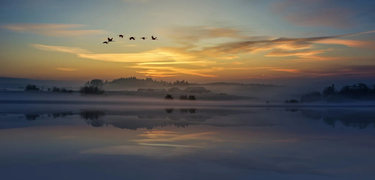 Sunset over the misty lake