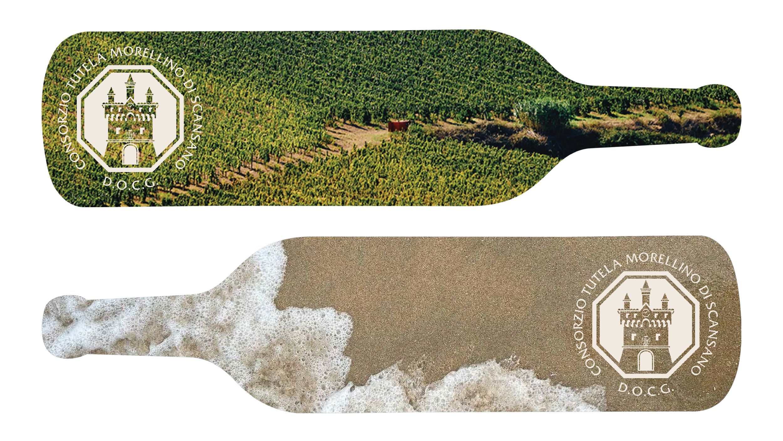 Immagine di due etichette di vino con logo e immagini di paesaggi diversi, una con vigneti e l'altra con spiaggia, accompagnate dal testo in italiano "CORSO ORIZZONTE LA MORELLINO D.O.C.G. SAN SANO".