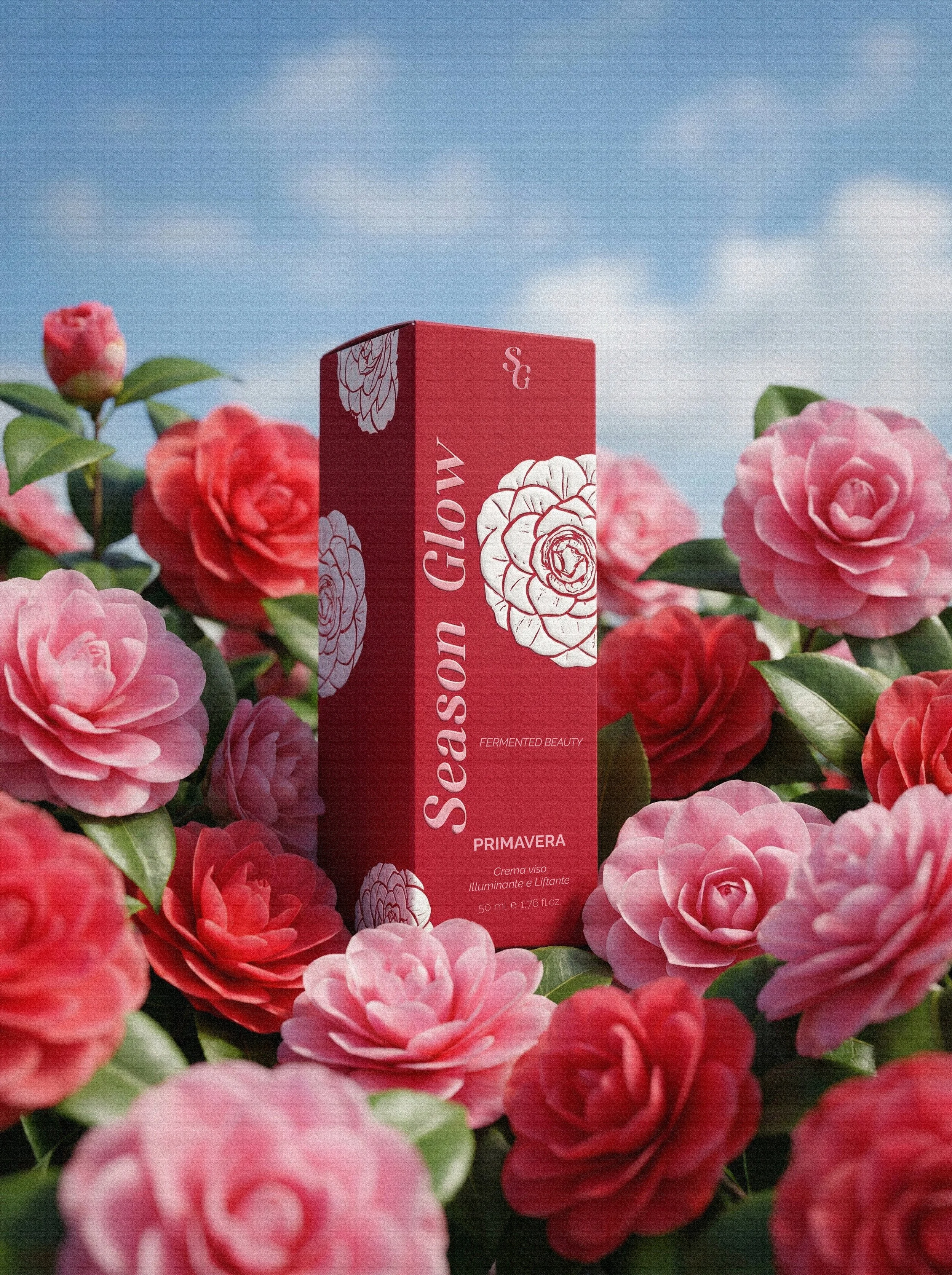 primavera scatola.jpg
