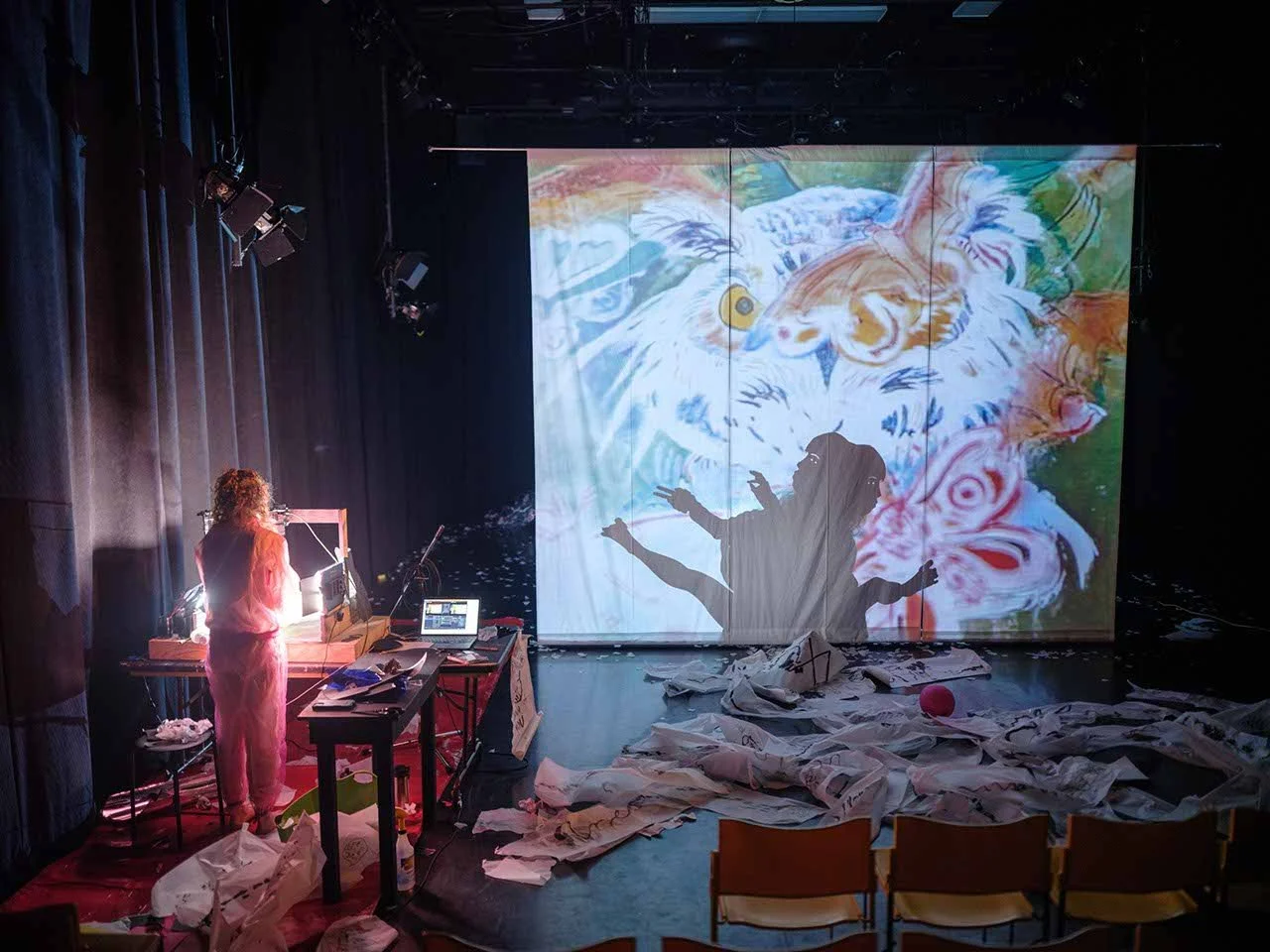 Rachel Gray manipulating paitings of butterflies and owls with her hands. Behindn the screen, a masked figure raises their arms and legs.