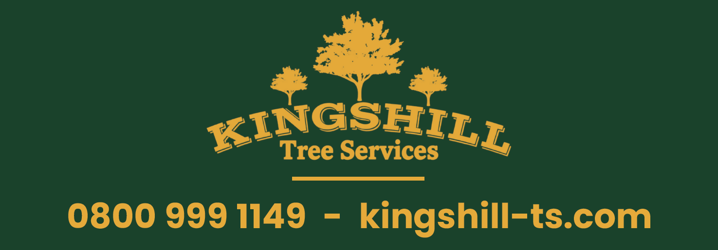 Kingshill Tree Services