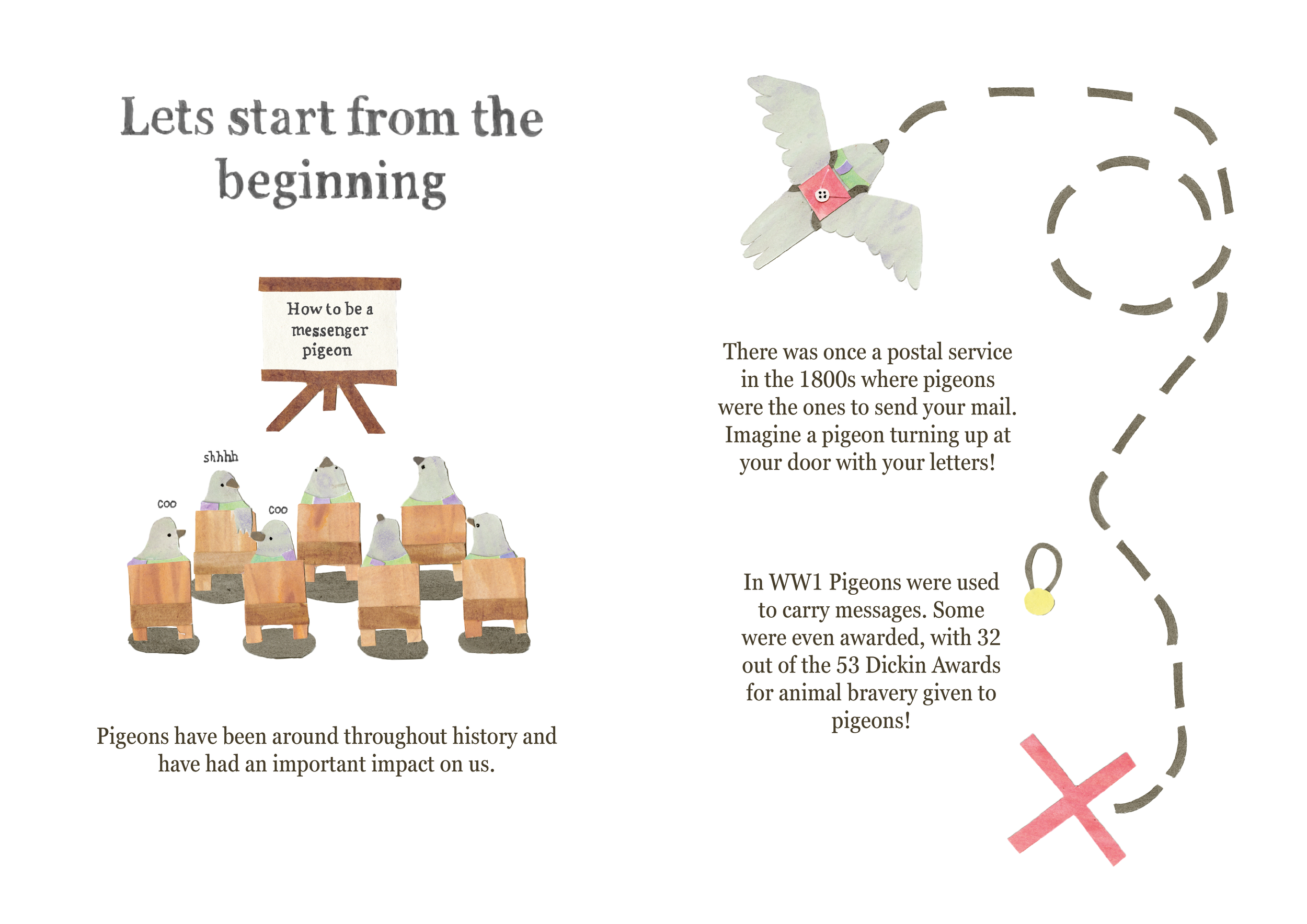 The Pigeons Around Us Book copy4.png