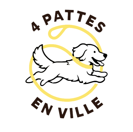 Logo with a running dog inside a yellow loop, with the text '4 PATTES' above and 'EN VILLE' below.