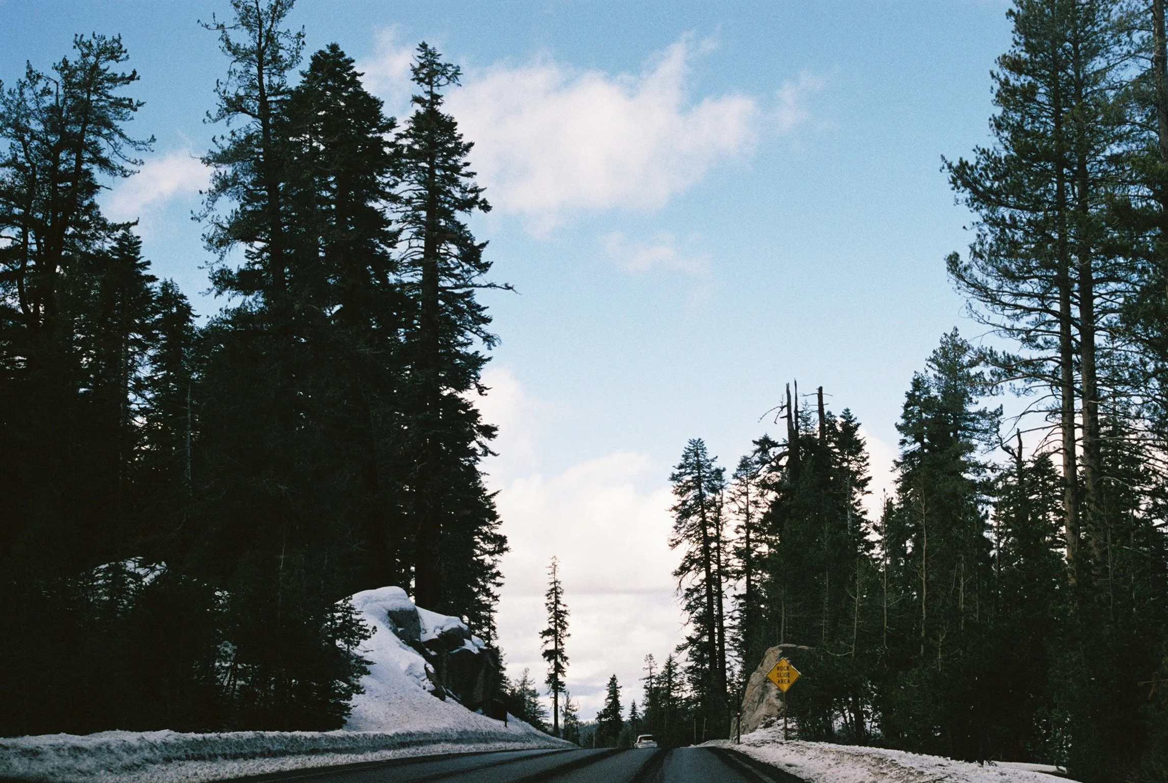 Shot on Canon AE-1
35mm film