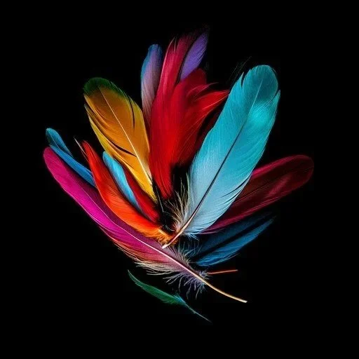 The Feathers