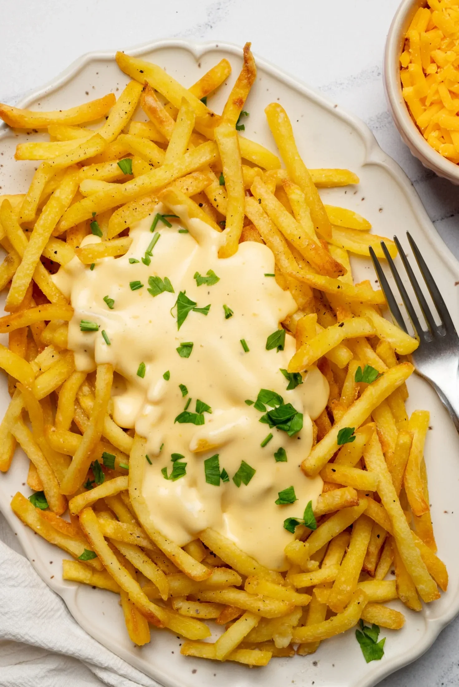 a-cheese_fries-feature-1-2.webp