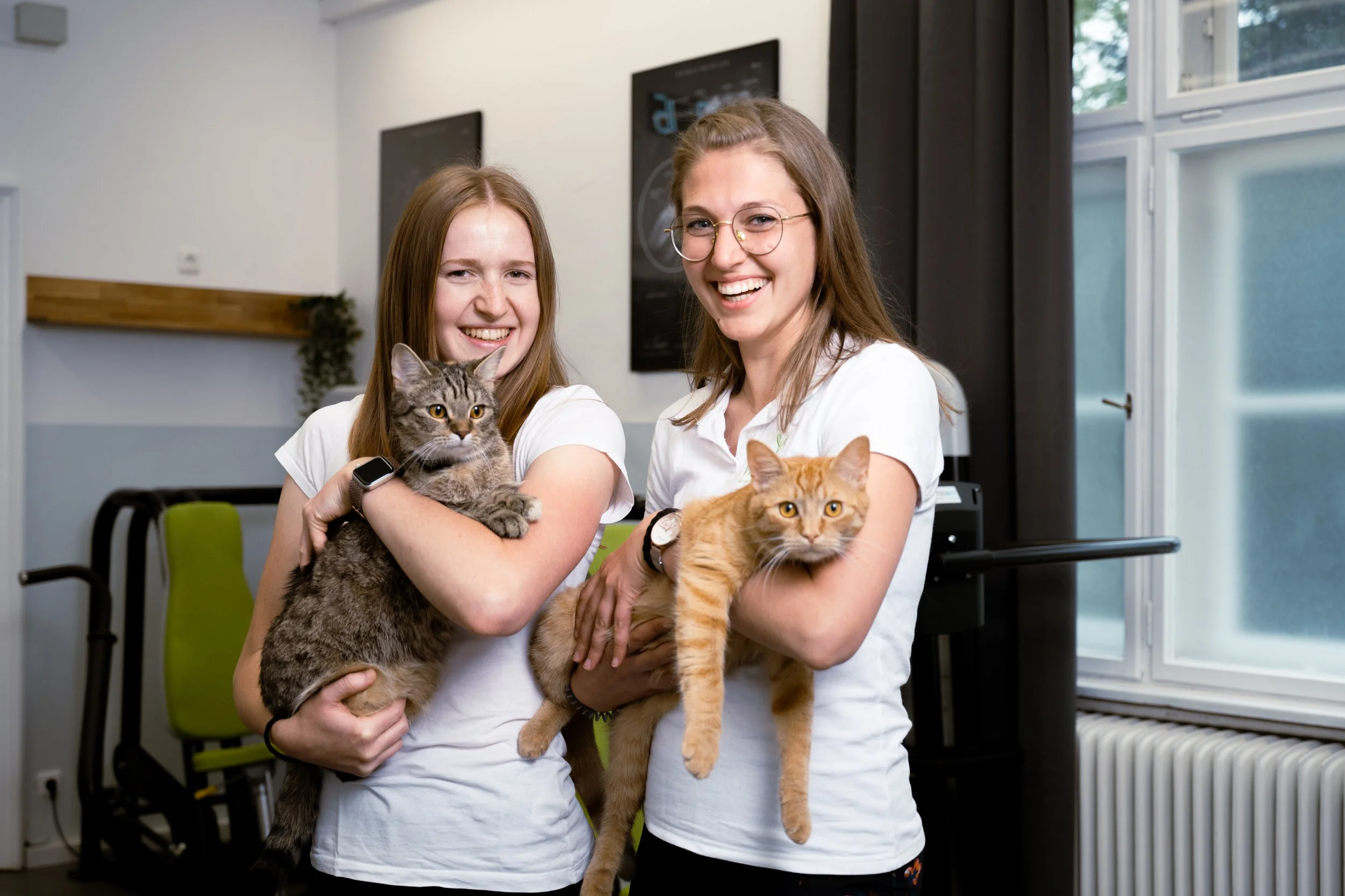 Zwei Frauen halten jeweils eine Katze in den Armen und lachen in einem Raum mit weißen Wänden und Fenstern.