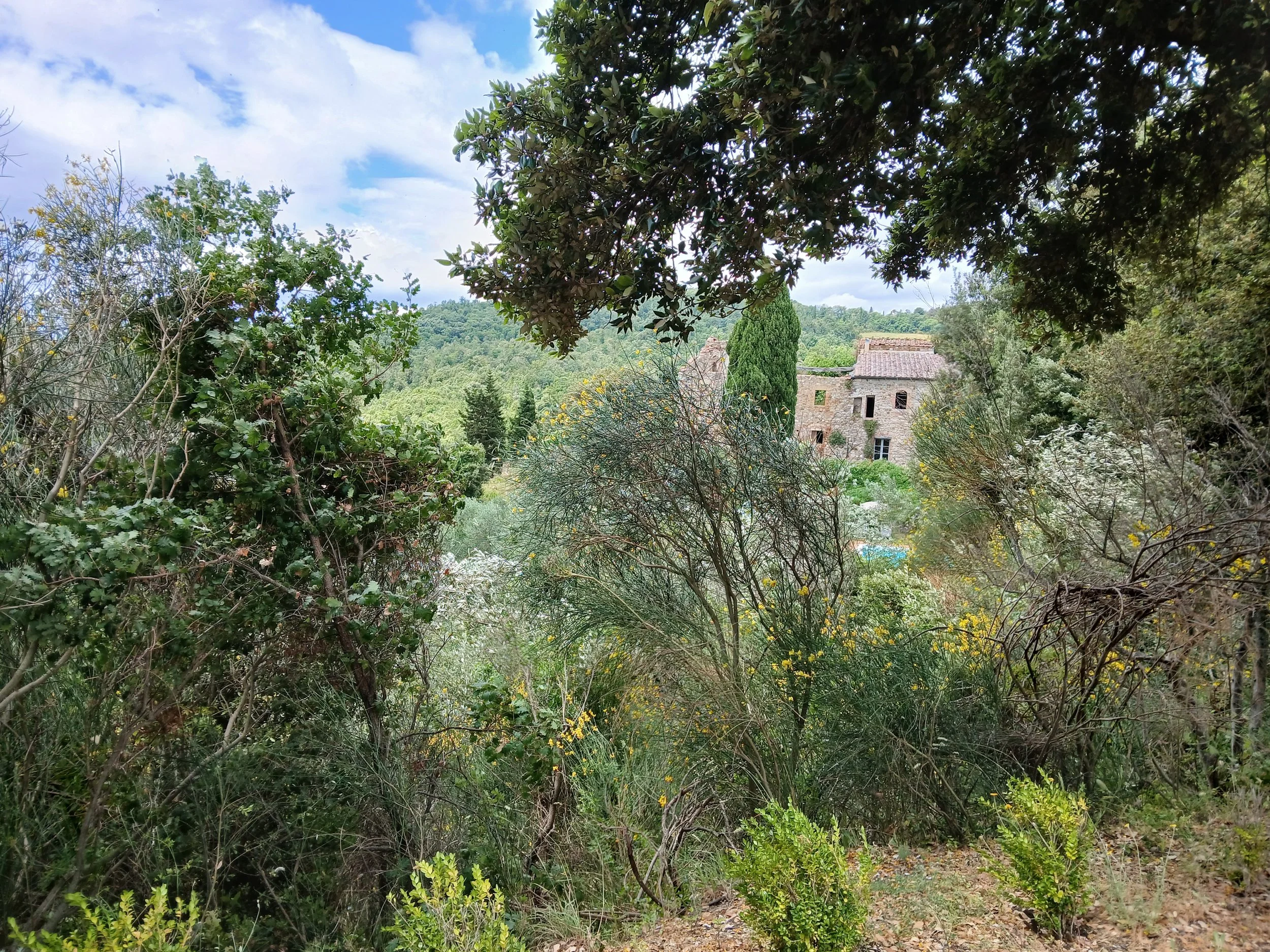 Azzano-Volterra9.jpg