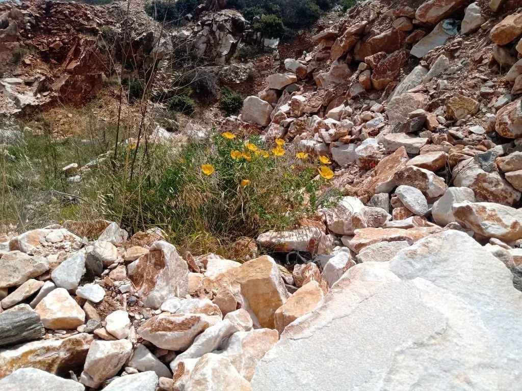 Paros23.jpg